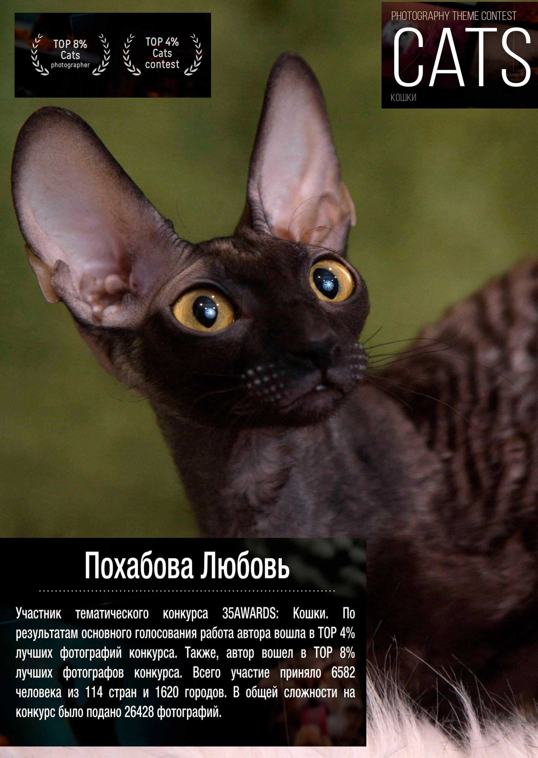 Главная. Конный фотограф в Красноярске — Любовь Похабова