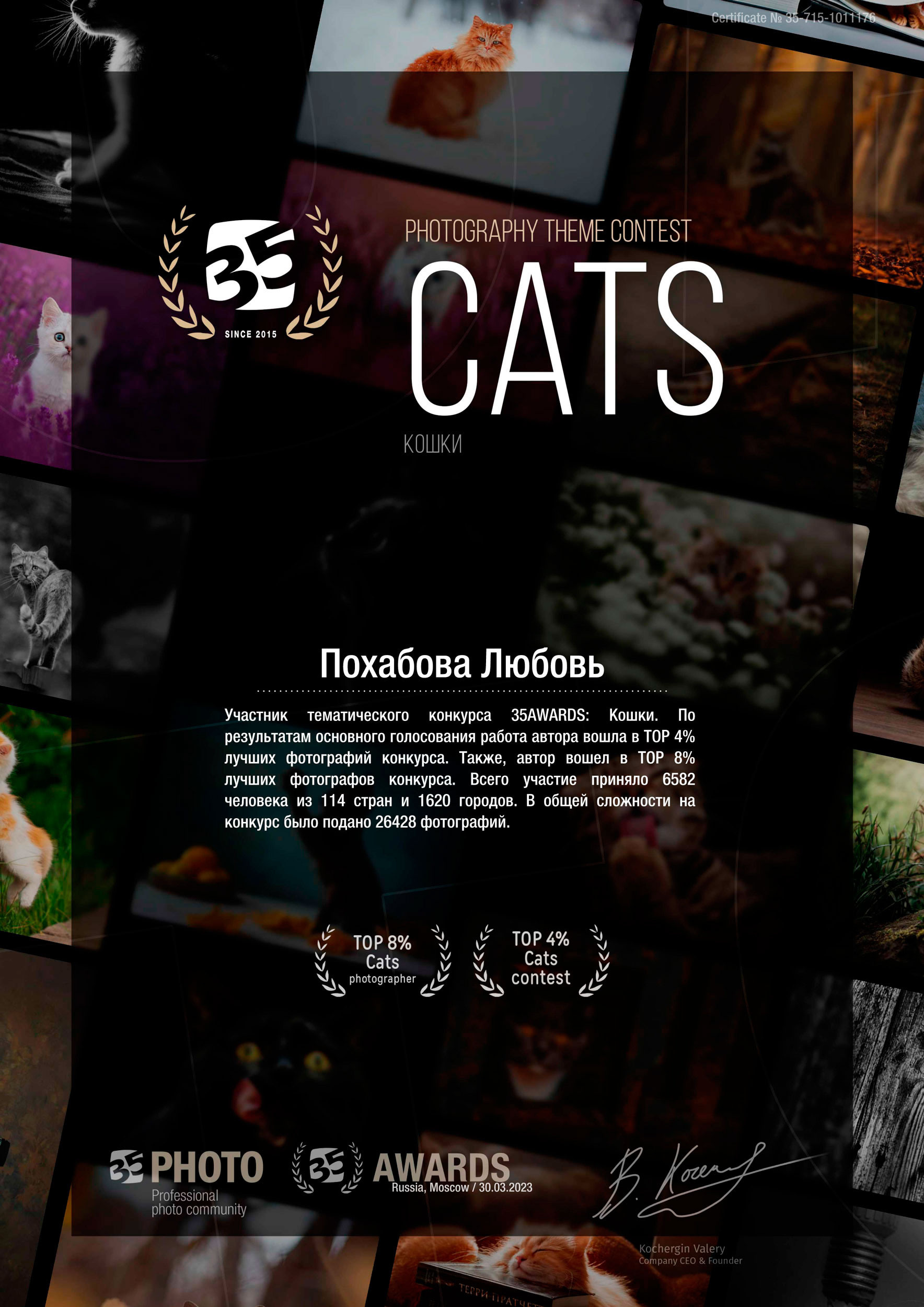 Главная. Конный фотограф в Красноярске — Любовь Похабова