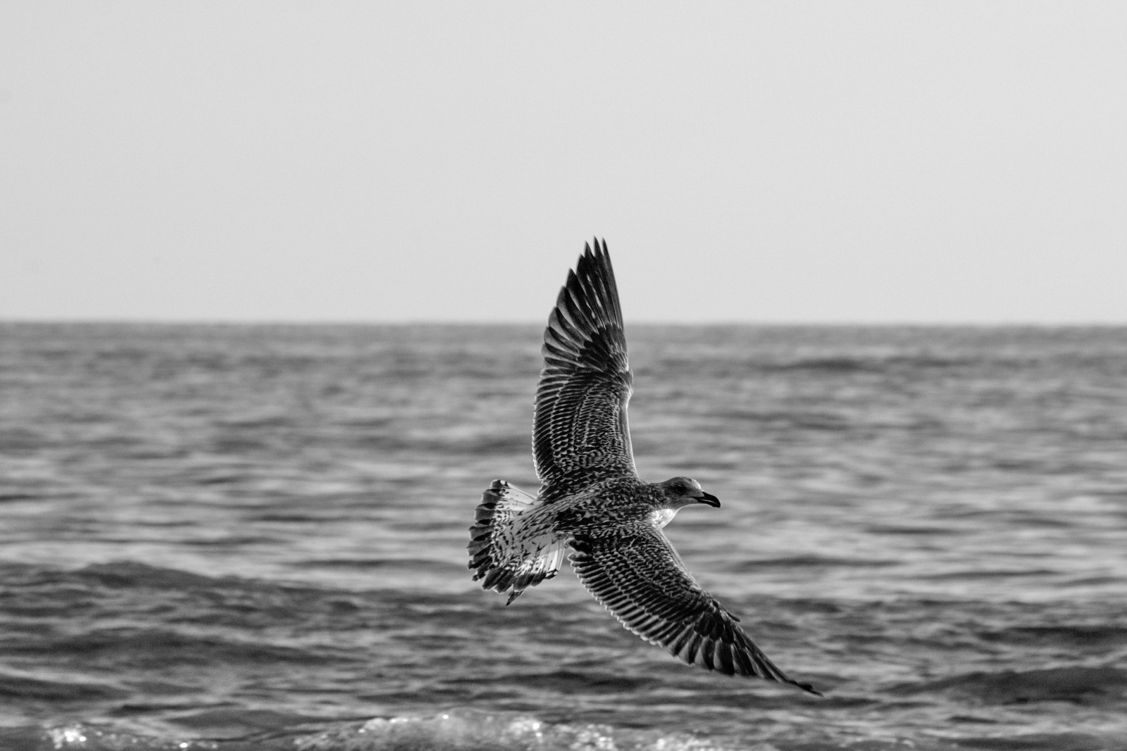 Travel in BW. Moscow street photography workshops and photo tourism