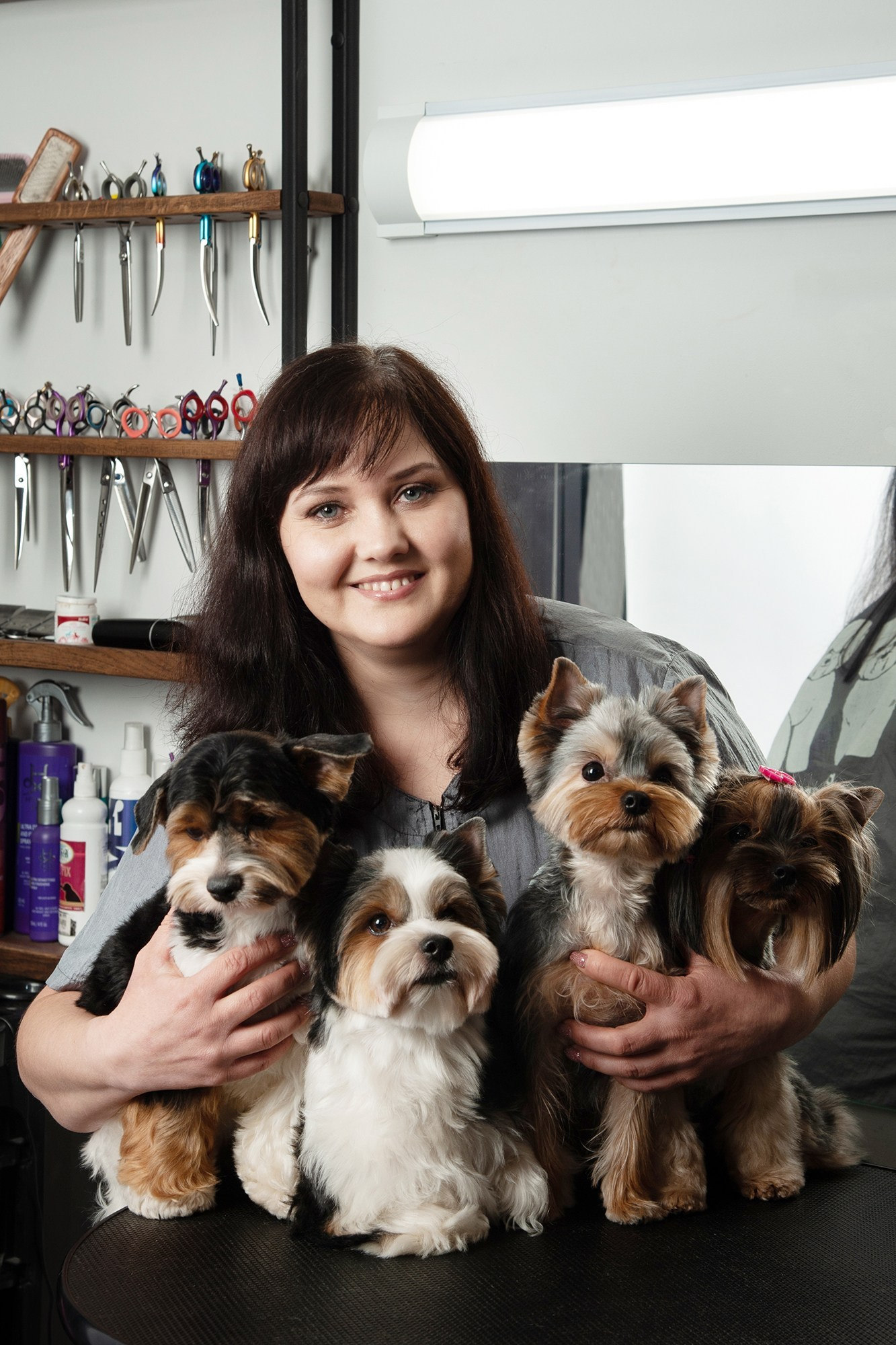 Фотосъемка для груминг салона Aniva