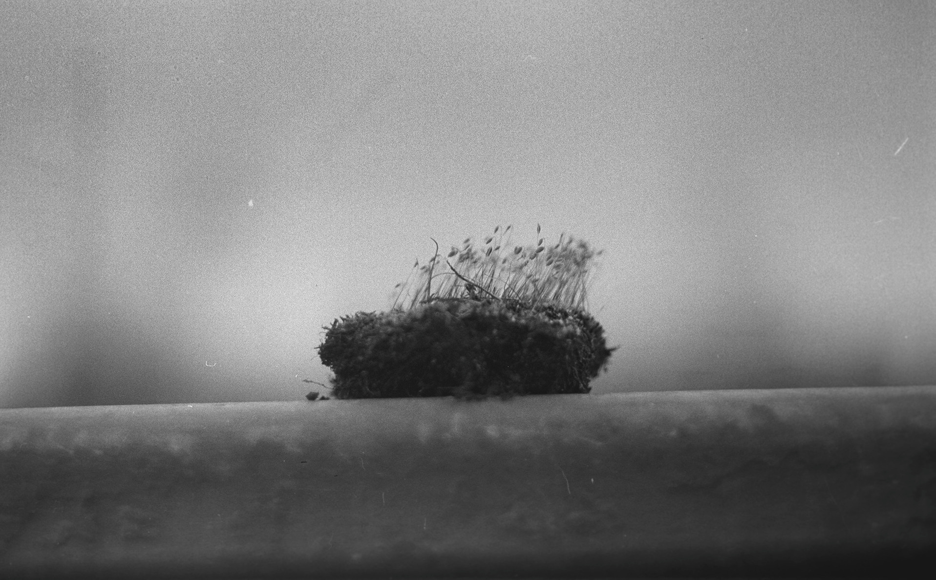 Plechinta Ekaterina — documentary photographer