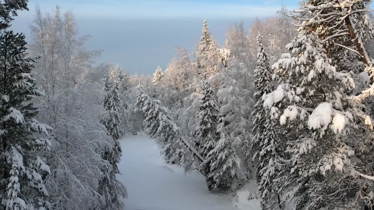 Видео. Фотограф Татьяна Борисова