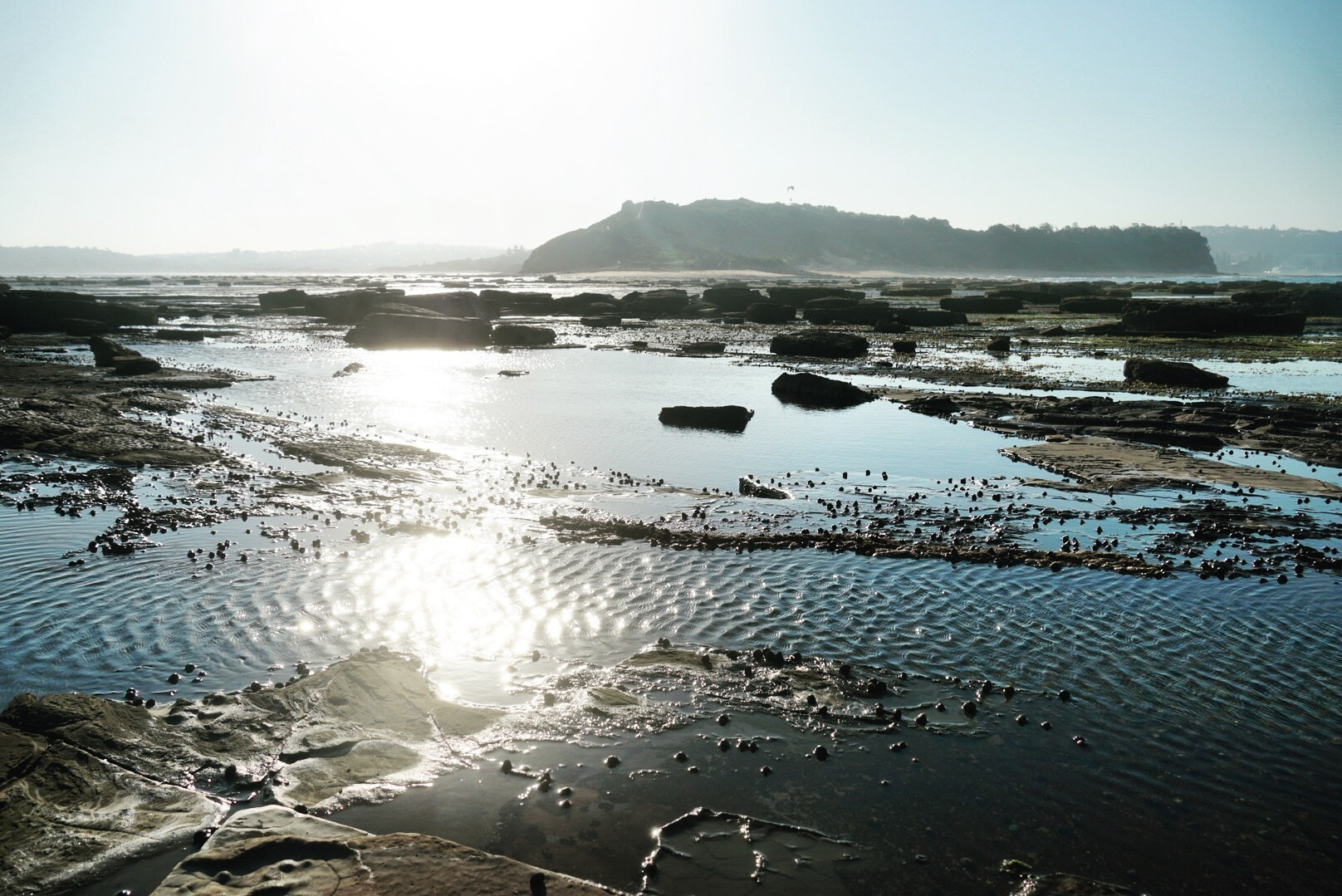 Фотограф и видеограф в Стокгольме — Любовь Лангер