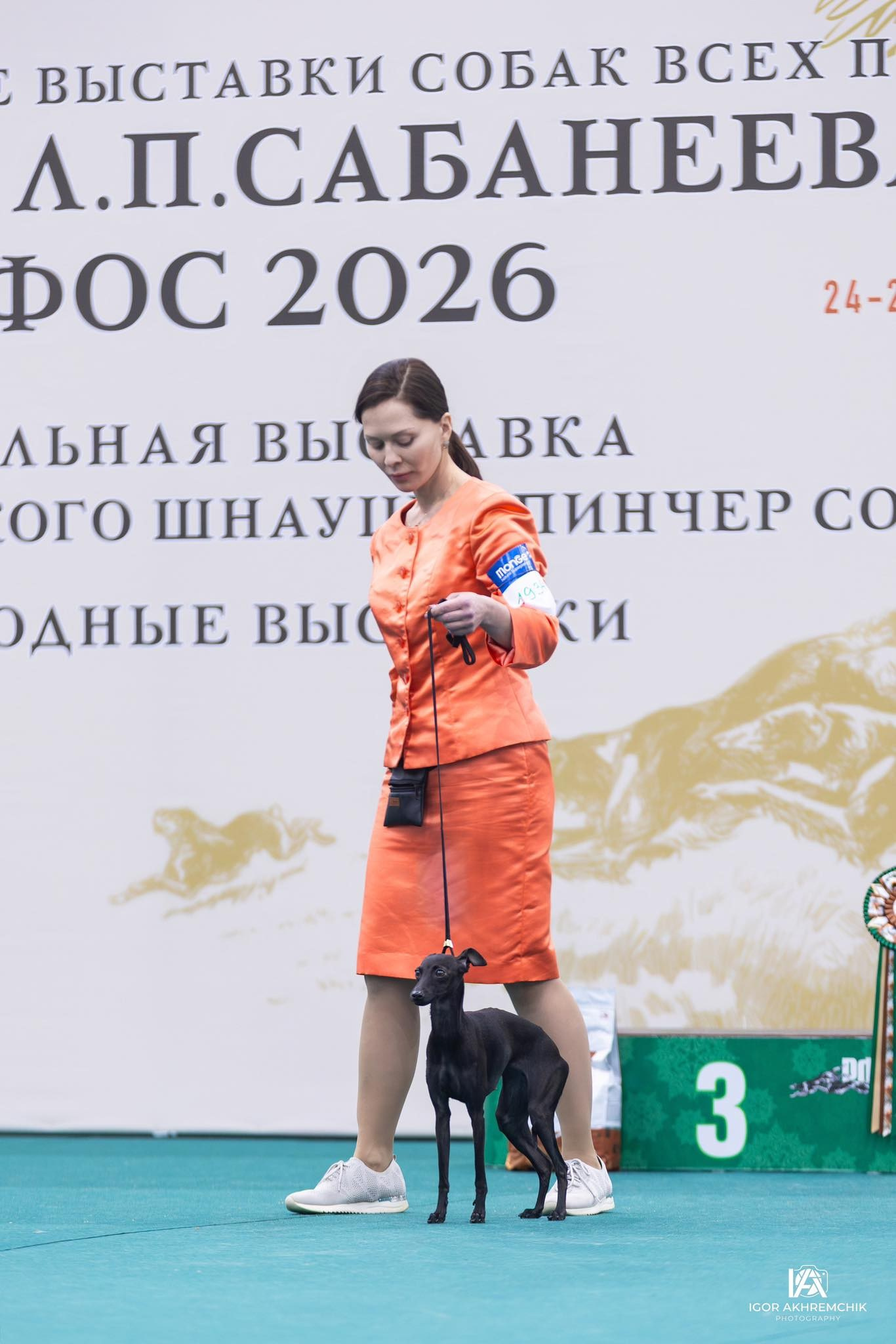 Профессиональный питомник левреток РКФ/FCI ASTI SAPPHIRE 💎 Сочи|Санкт-Петербург