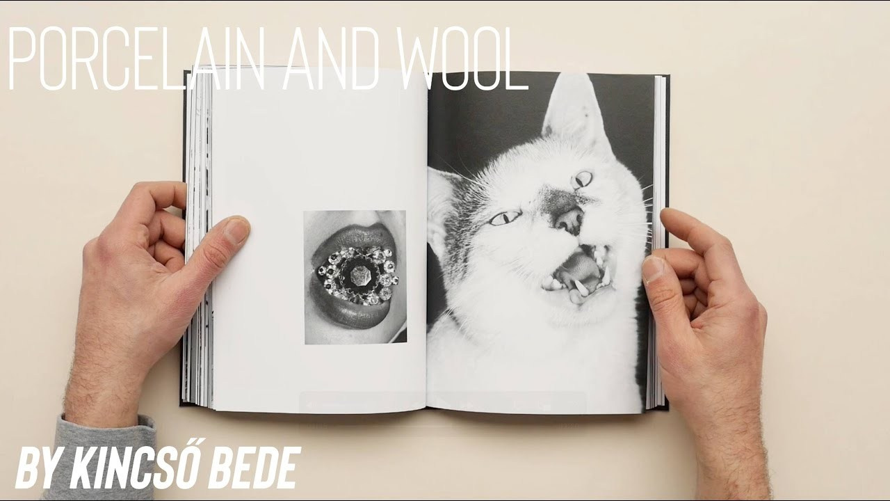 ОБЗОР АКТУАЛЬНЫХ ФОТОКНИГ: Porcelain and Wool. Самоорганизация Низина