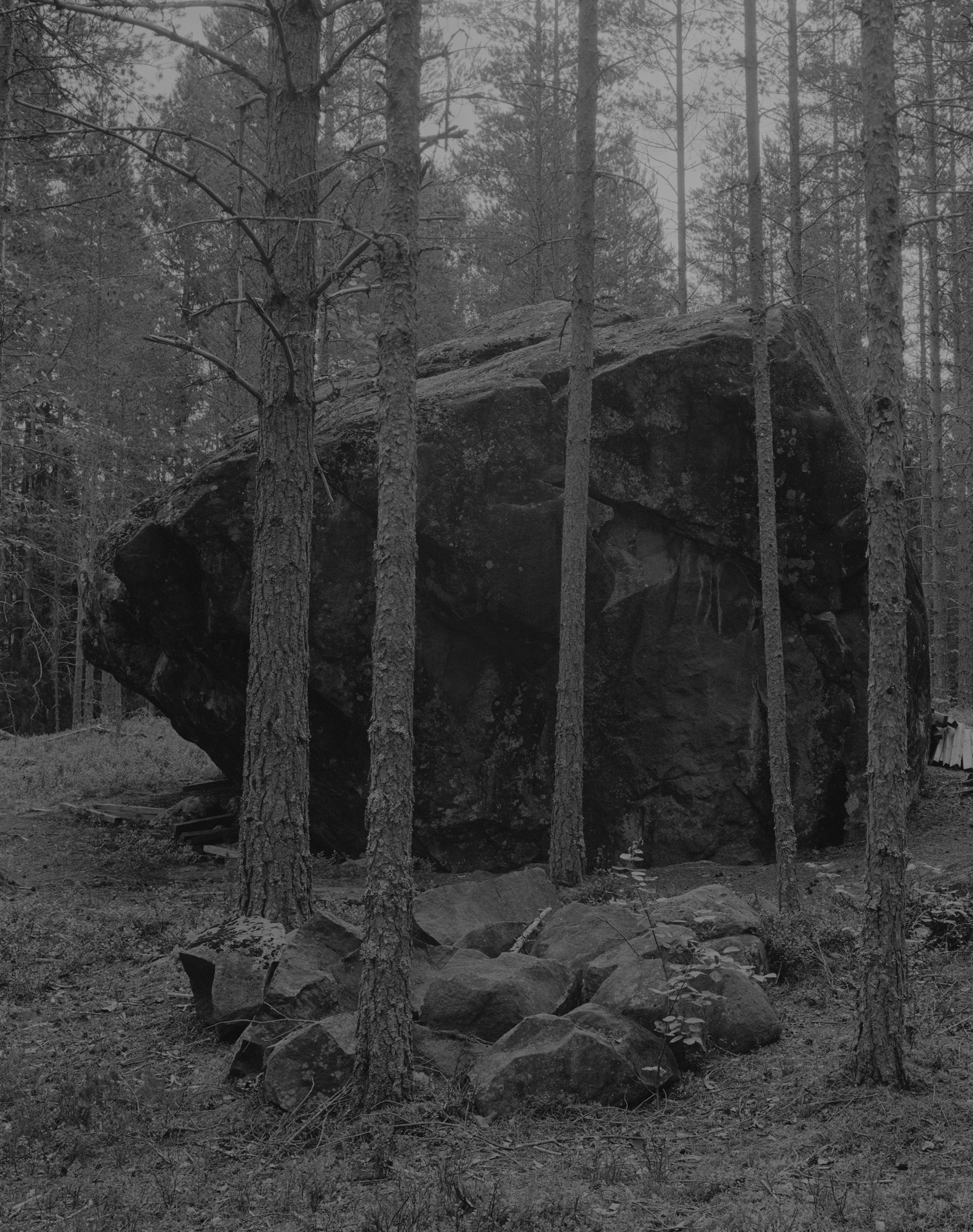 INTERVIEW WITH THE ARTIST: Maja Daniels. Самоорганизация Низина