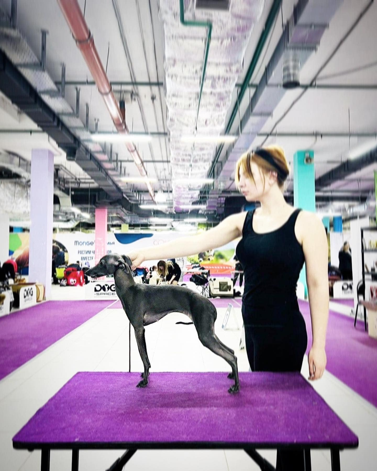 Весенние крошки. Профессиональный питомник левреток РКФ/FCI ASTI SAPPHIRE 💎 Сочи|Санкт-Петербург