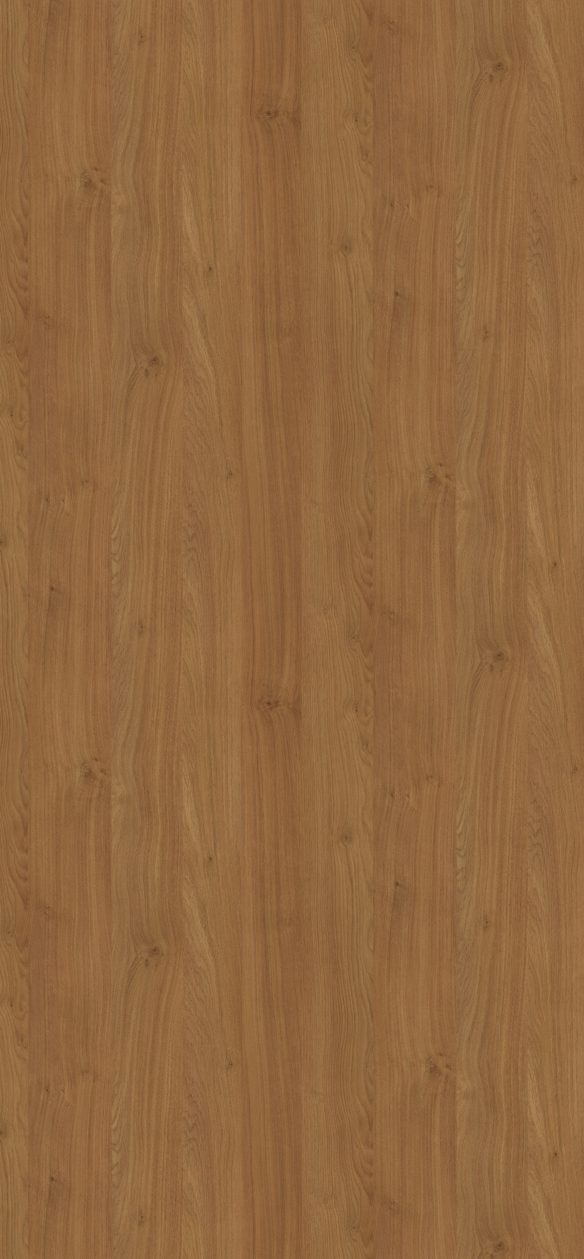 EGGER. Главная