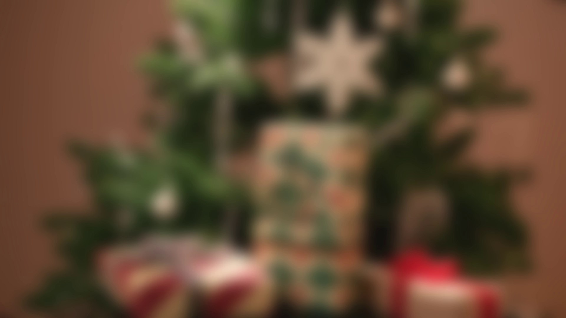 Time To Grow. Студия рекламной и предметной съемки товаров WELKO Studio