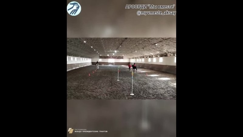 Иппопогружение: эстафеты на лошадях — путь к мастерству!