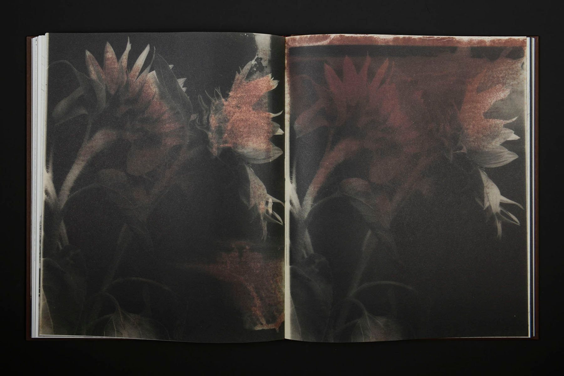 Книга Вика Бакина (Vic Bákin) «Epitome». Private image