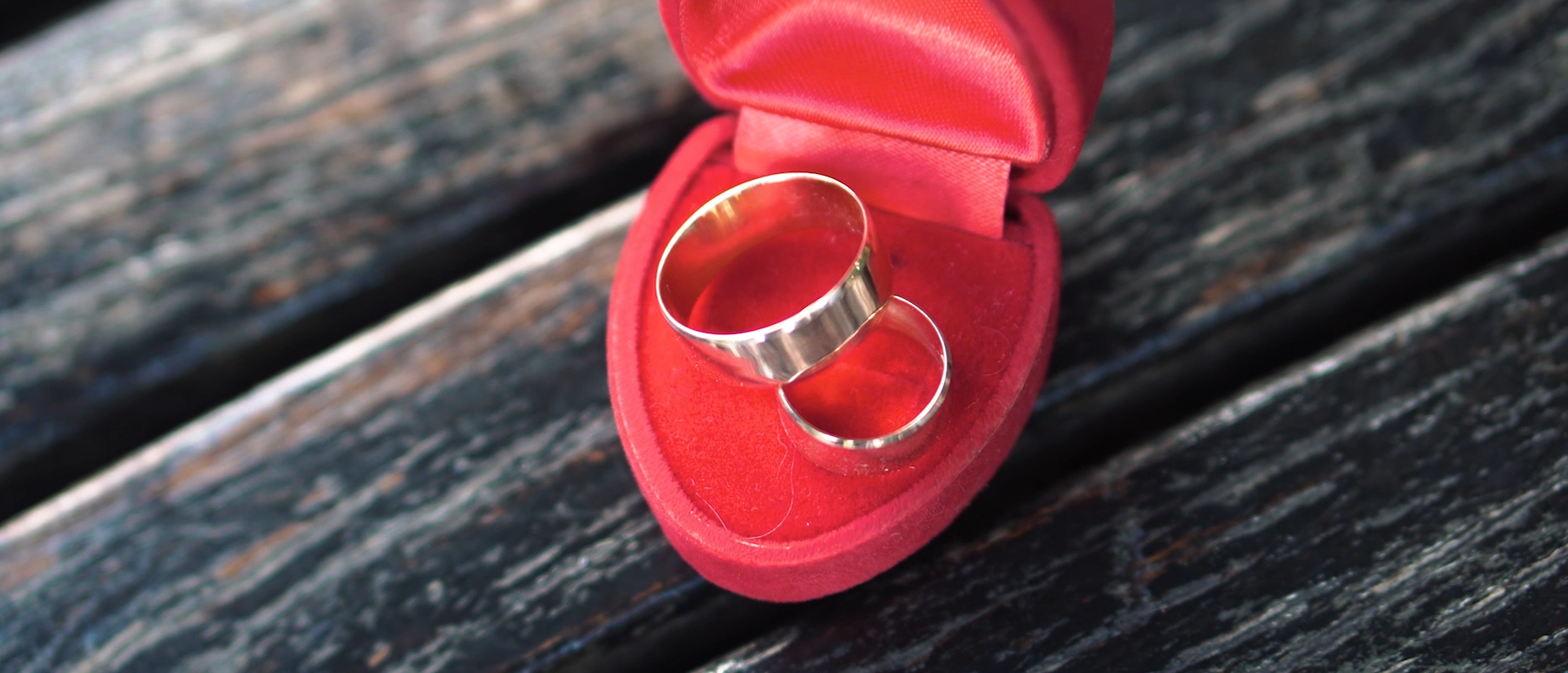 Видеосъемка, видеограф в Донецке Николай Хоришко