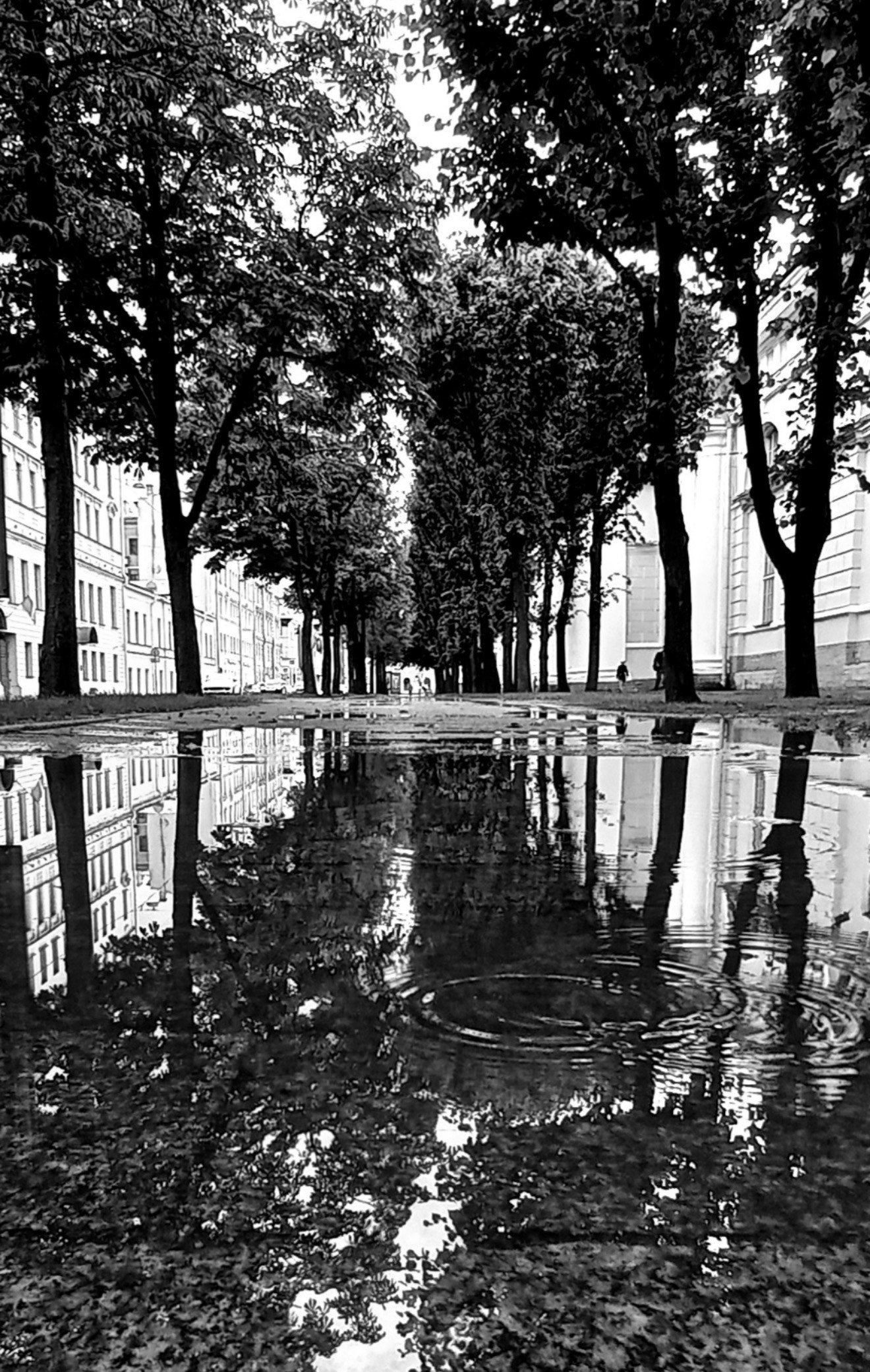 Калининград «ОЧЕРТАНИЕ РЕАЛЬНОСТИ». ARTEXPOPHOTO