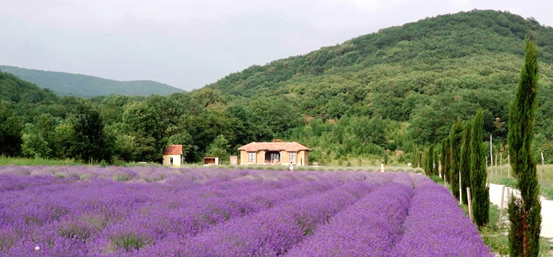 Локации для фотосессии в городе Анапа. Свадебный фотограф и видеограф Краснодар, Ростов, Сочи, Новороссийск