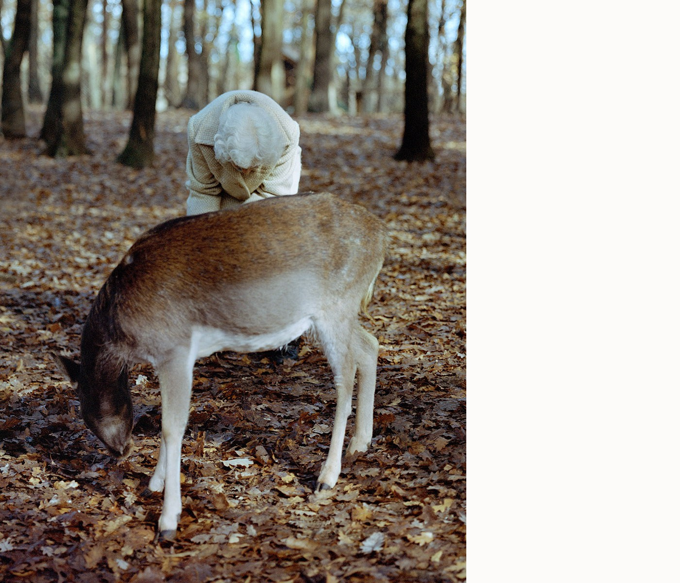 Проект Balazs Turos «The nature of things». Private image