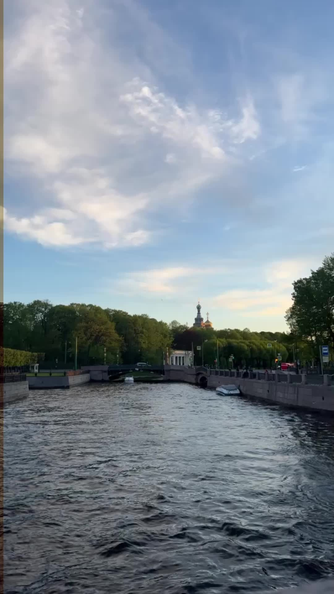 VN Пресеты|Коричневые. Кинематографичный фотограф, видеограф Лина Плешакова, Санкт-Петербург