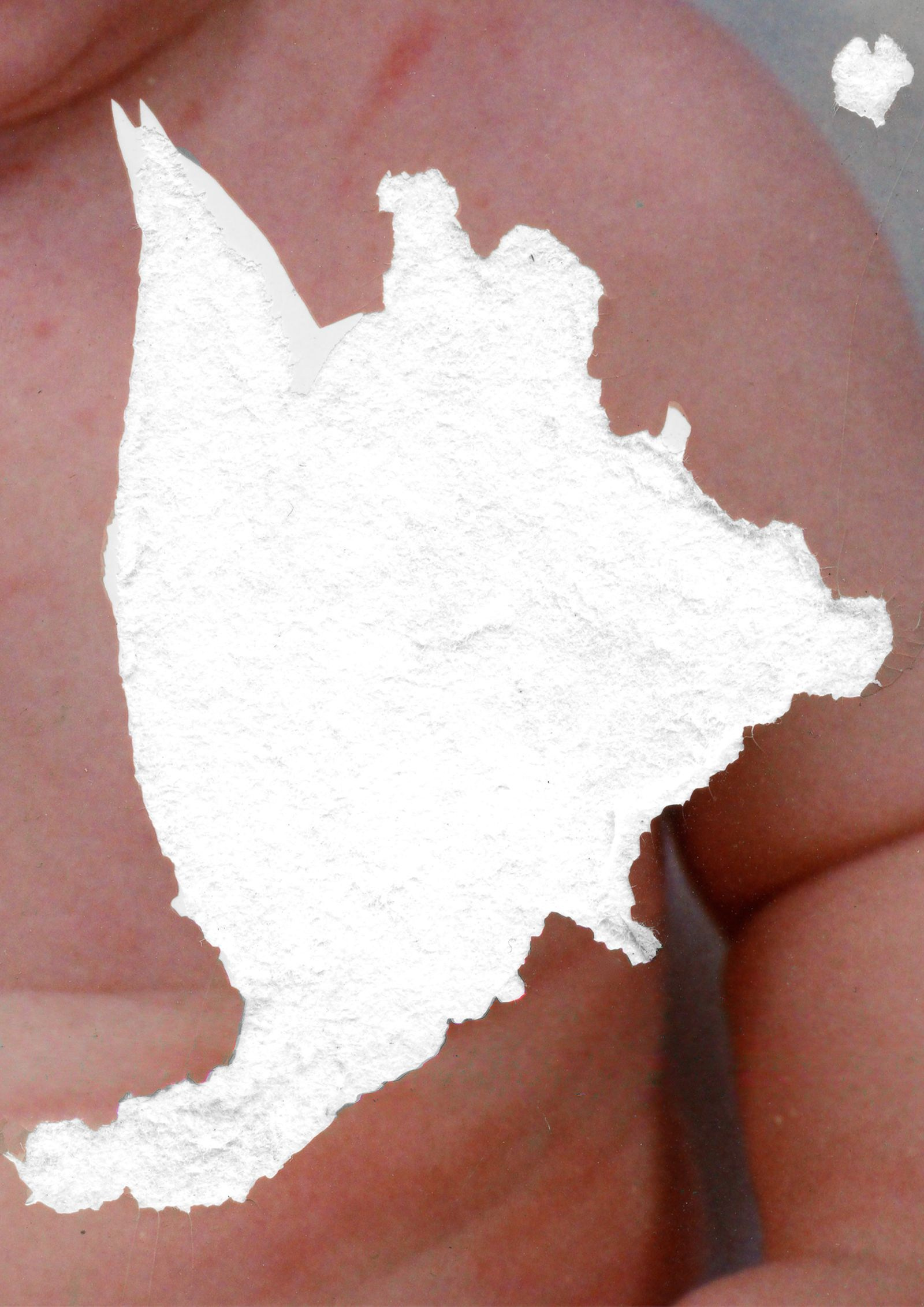 Проект Райсана Хамид (Raisan Hameed) «Zer-Störung». Private image