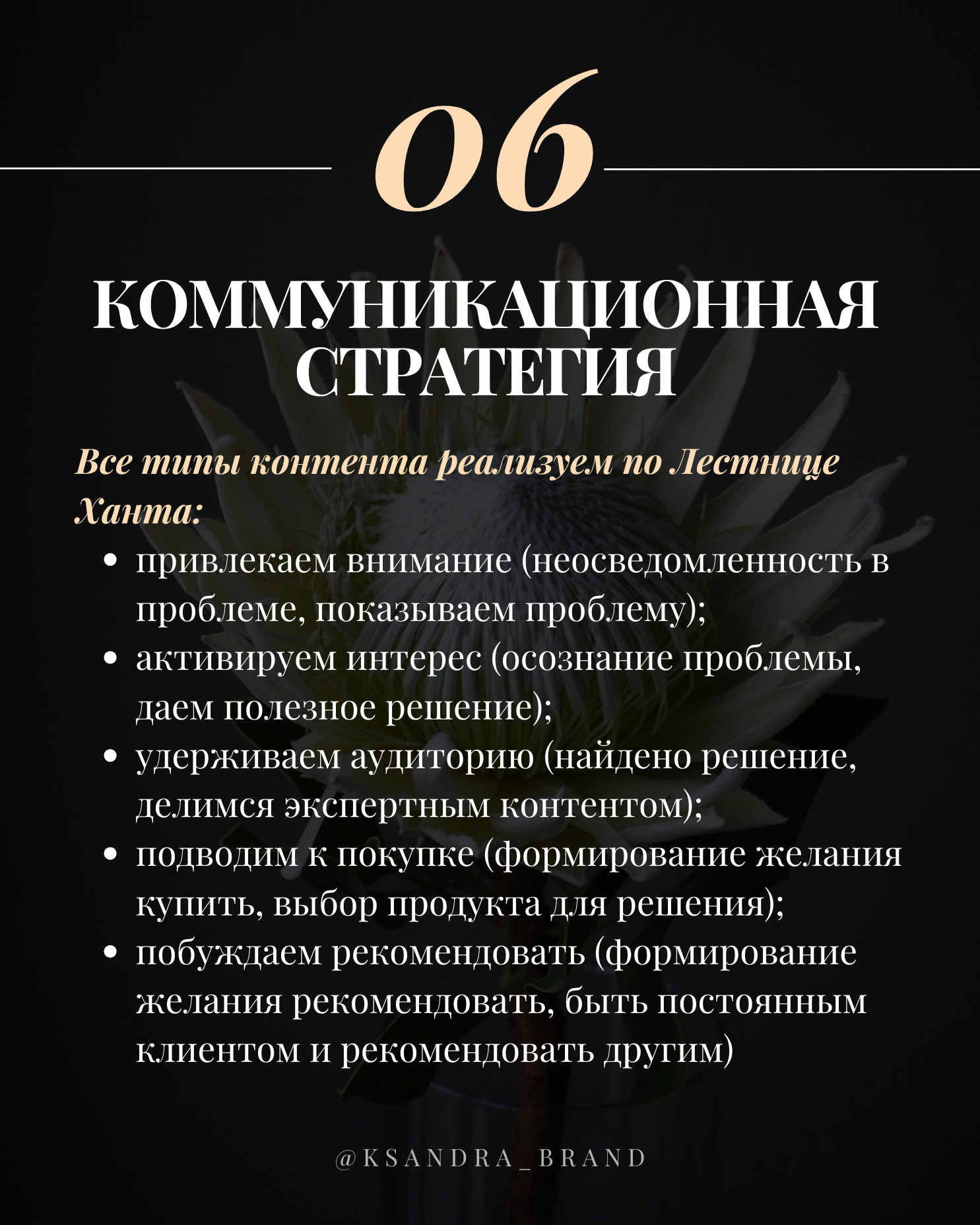 Практическое руководство: «Создание стратегии продвижения в соцсетях на 2025 год