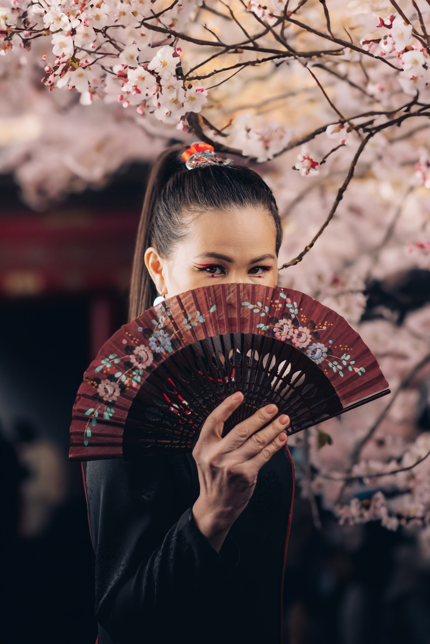 стиль Японии