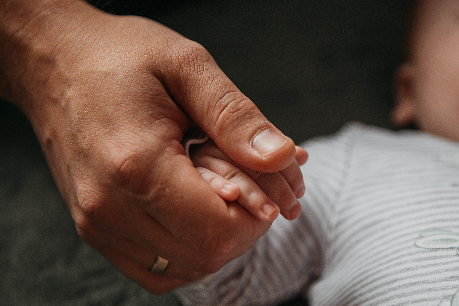 Семейный фотограф в Краснодаре