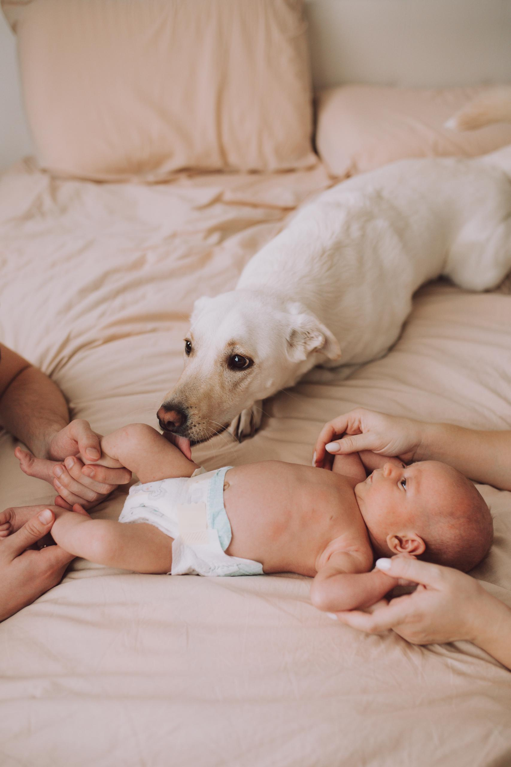 Отзывы. Семейный фотограф новорожденных в Краснодаре