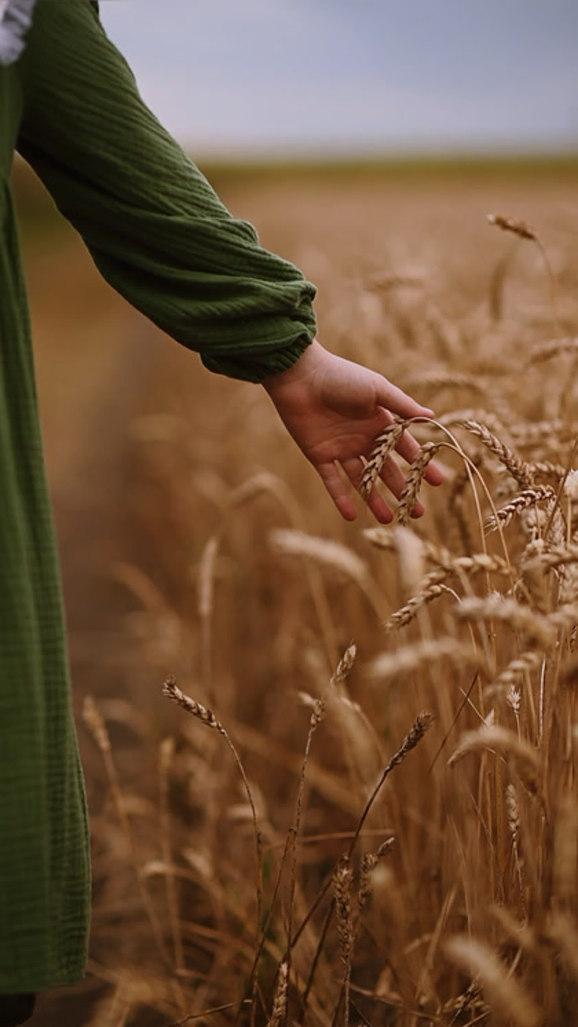 REELS. Свадебный и семейный Фотограф в Пензе Татьяна Лапоногова