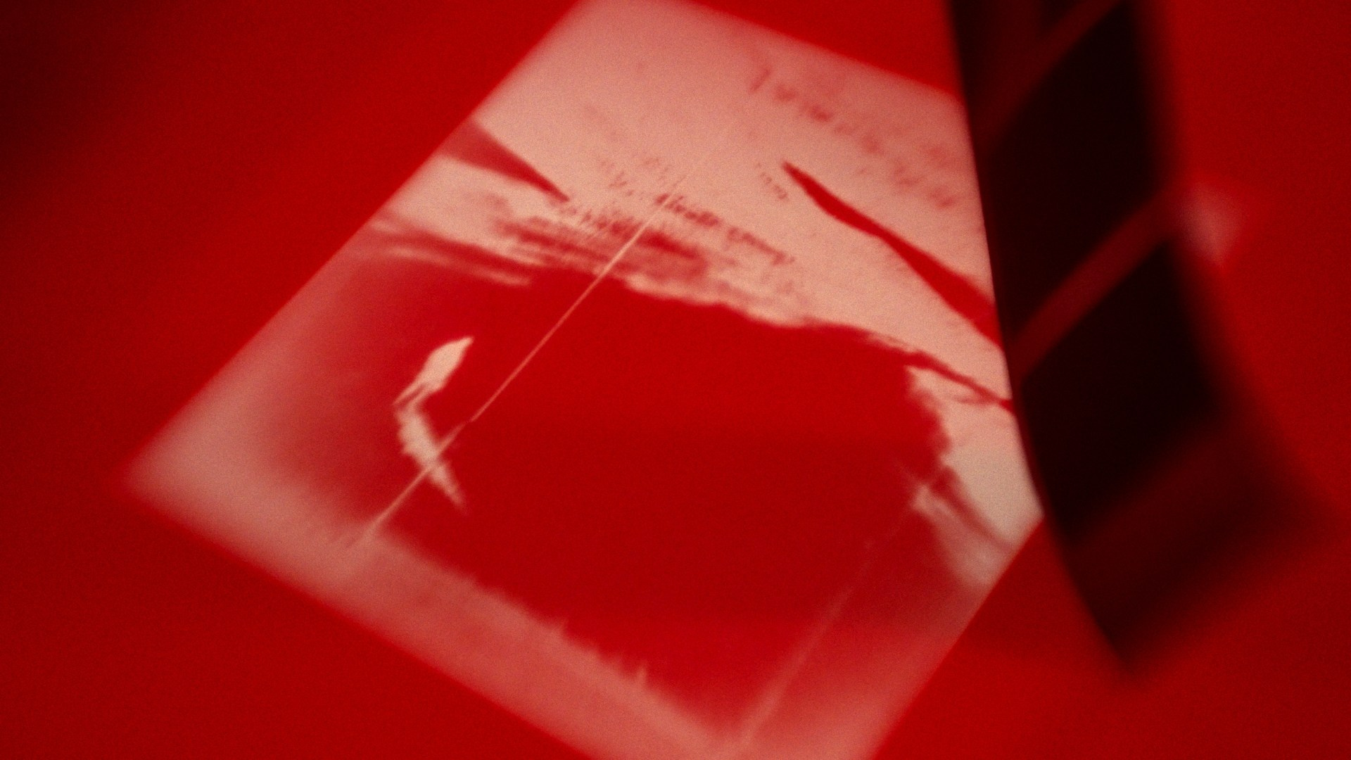 SHARDS (2026). ALEXEI RODIONOV