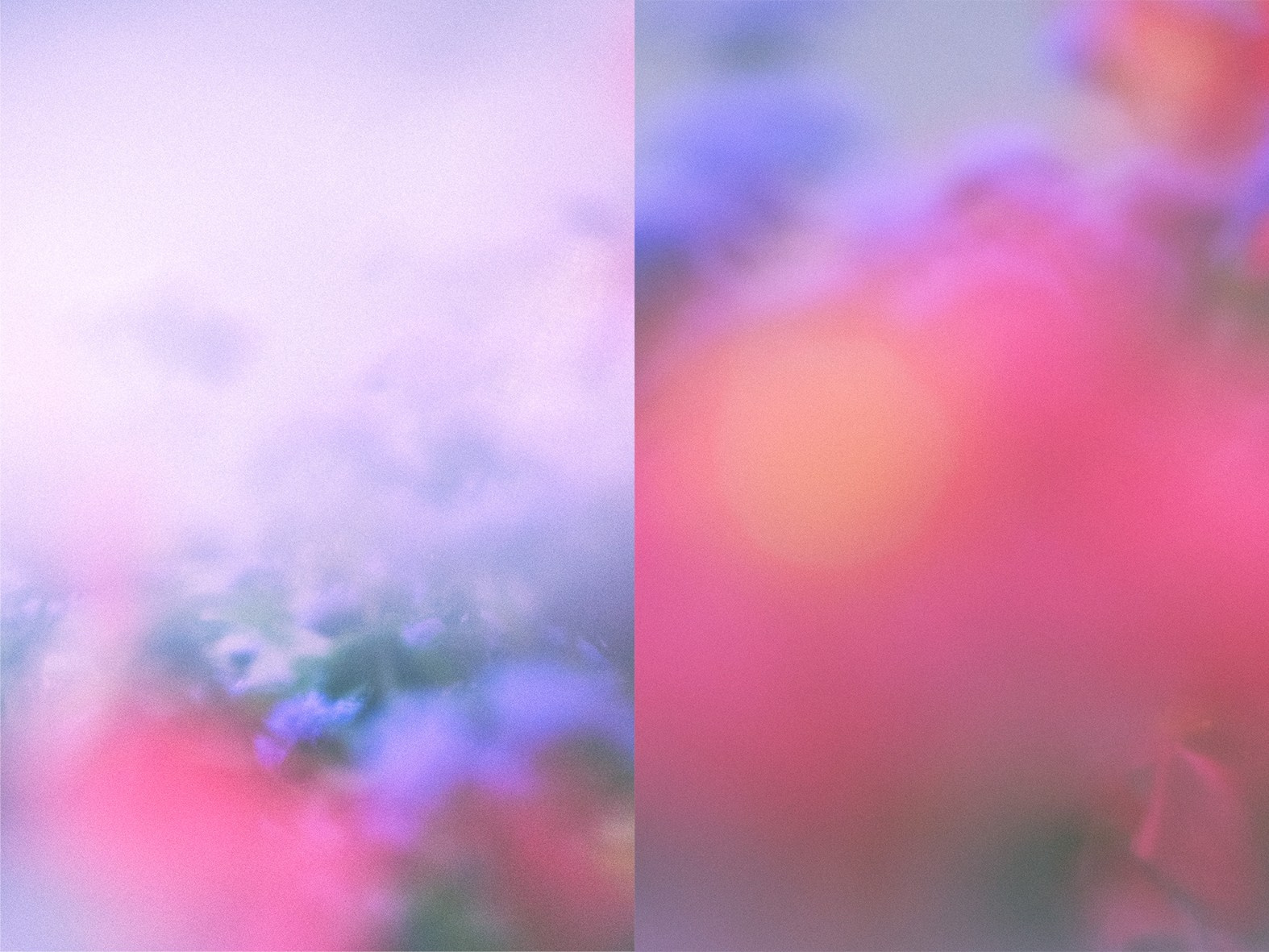 Eliza Ari | visual artist