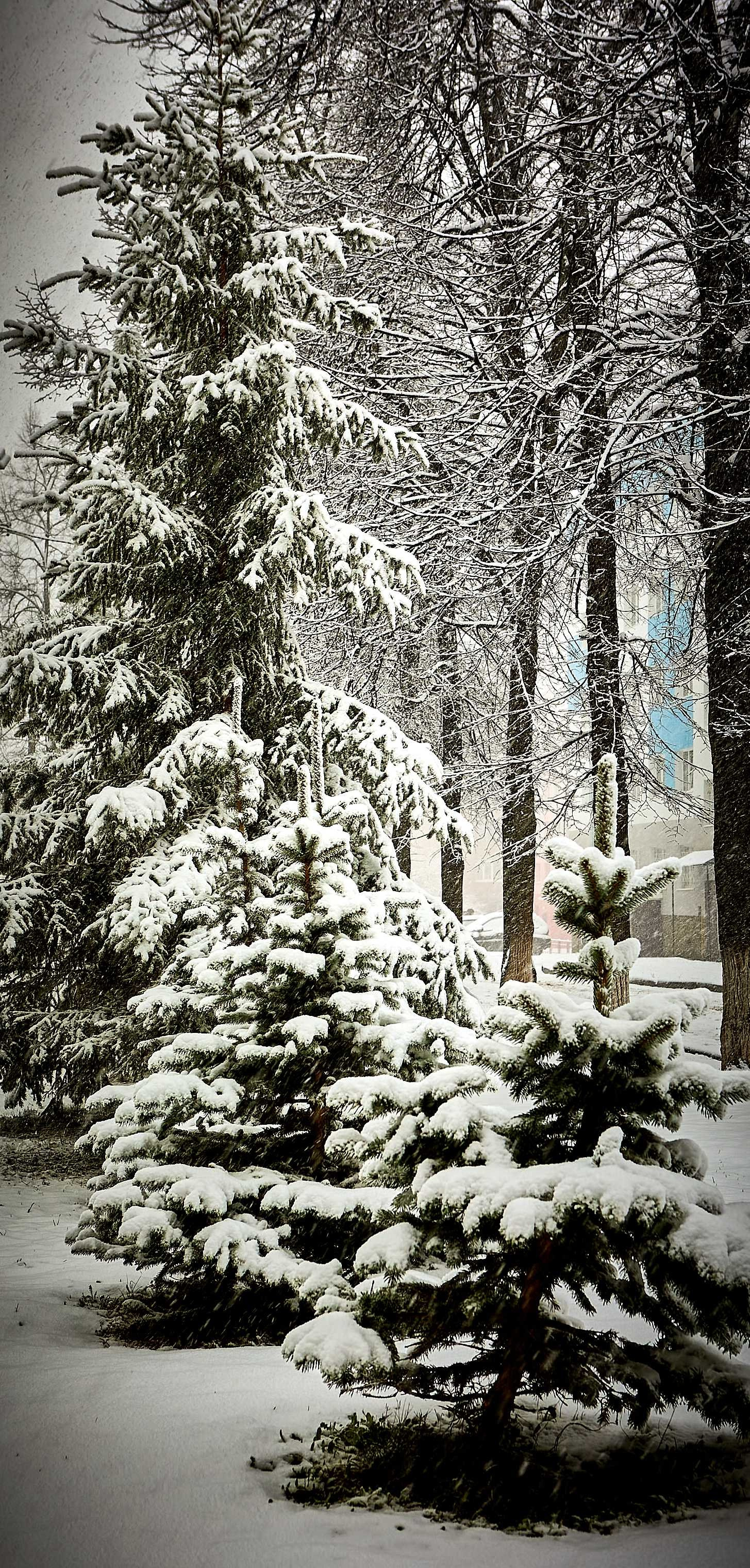 Видовые фото УГНТУ. УГНТУ — Ведущий нефтегазовый вуз России