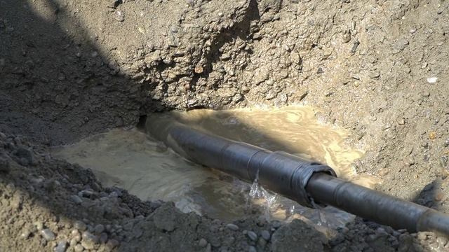 Видеосъемка в Барнауле, республике Алтай. Видеосъемка и аэросъемка, виртуальные туры в Барнауле и на Алтае