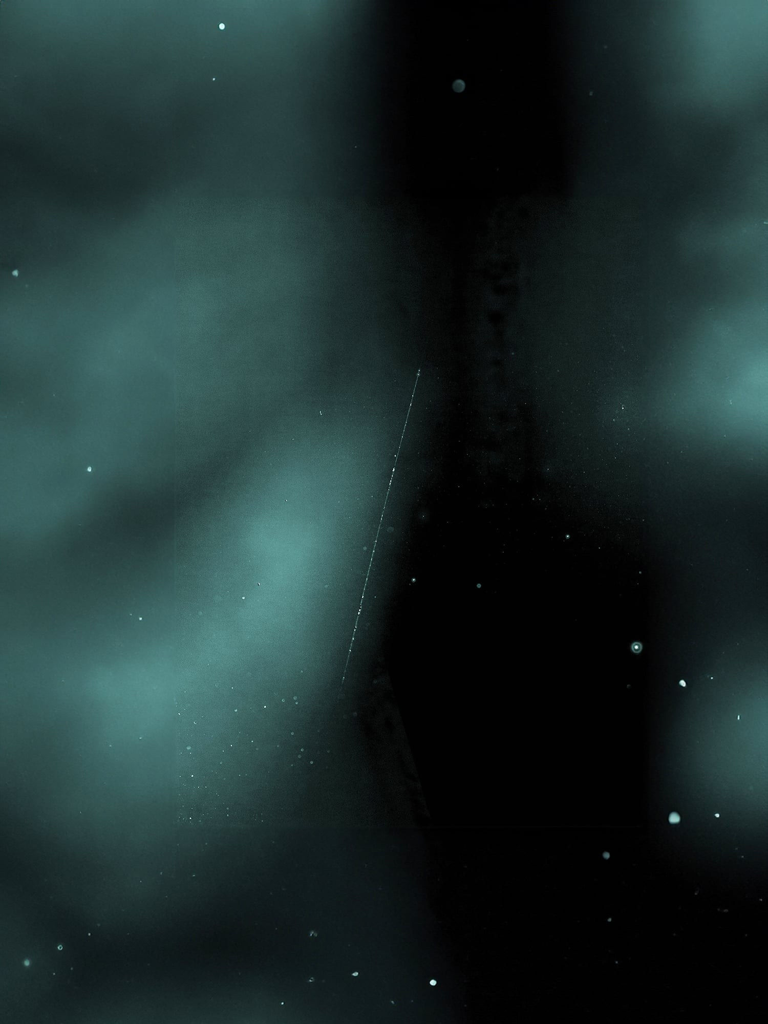 Проект «As long as the Sun lasts» Эрики Бардин (Erica Bardin). Private image