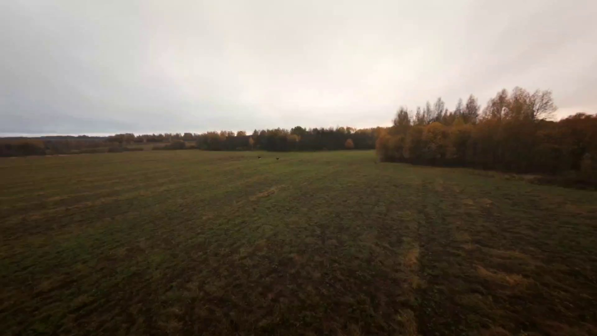 Портфолио FPV. DRONBERRY — Аэросъемка Ярославль