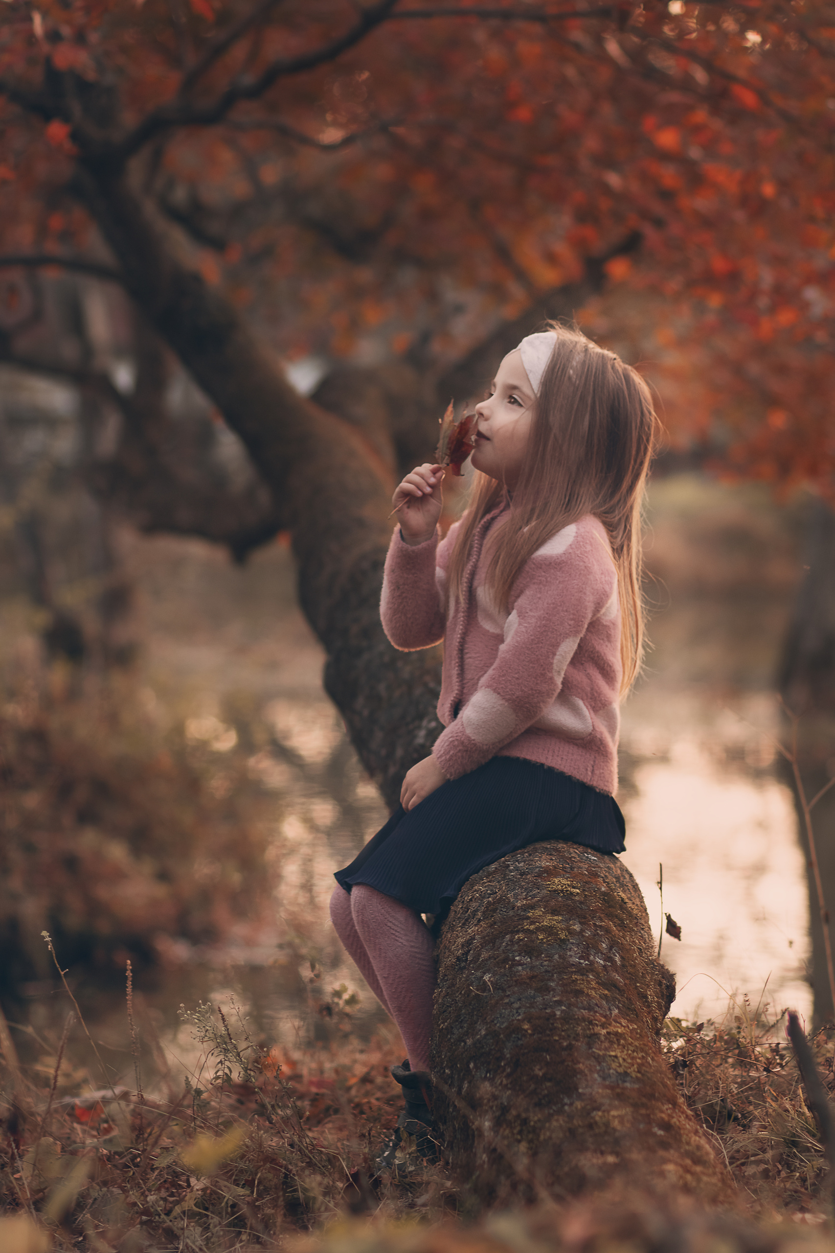 Фотостудия «Стремянка».Фотосессии в детских садах и школах