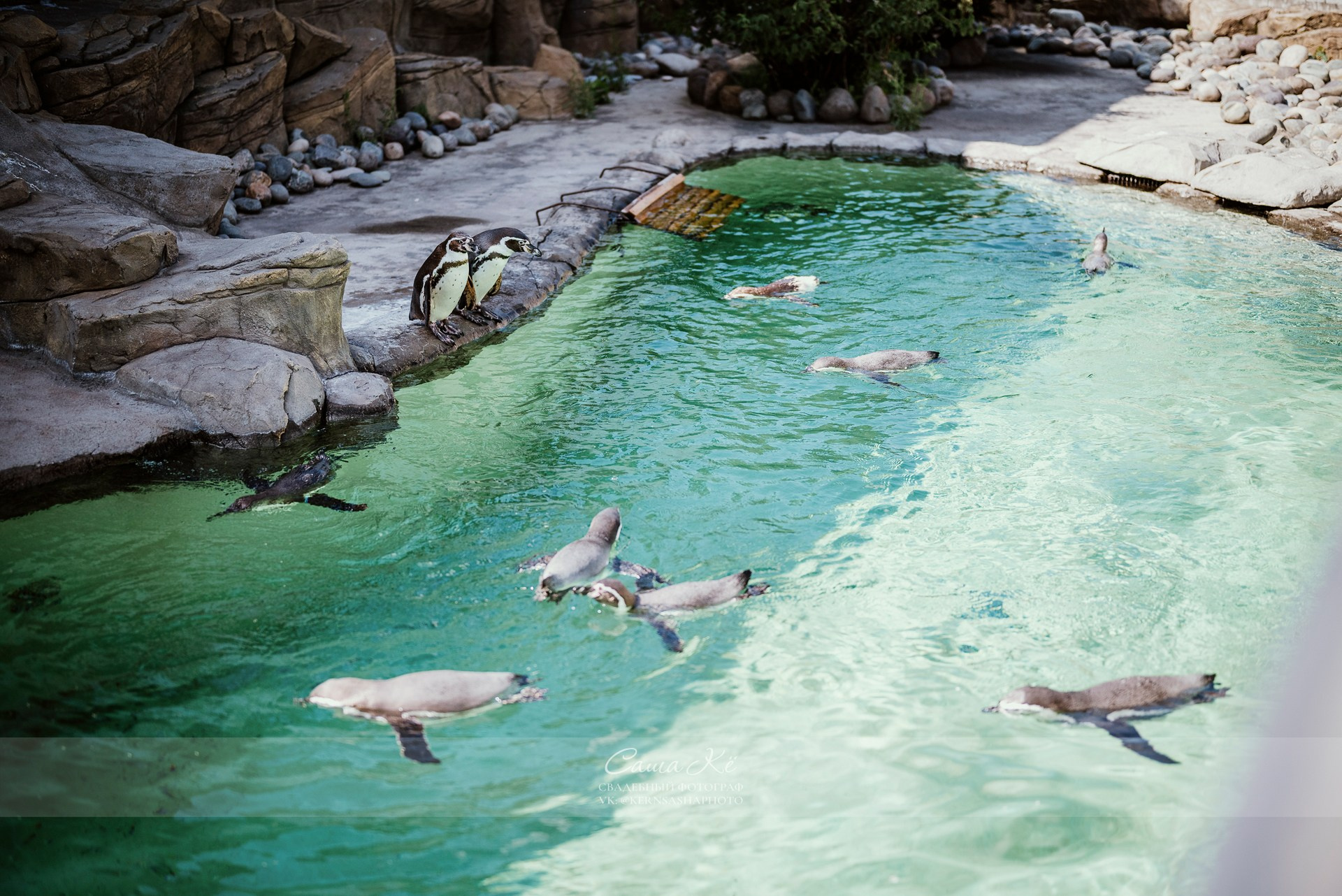 Творческая фотосессия TFP — фотограф Новосибирска Саша Кё. Свадебный, семейный и event фотограф в Новосибирске и Новосибирской области Саша Кё