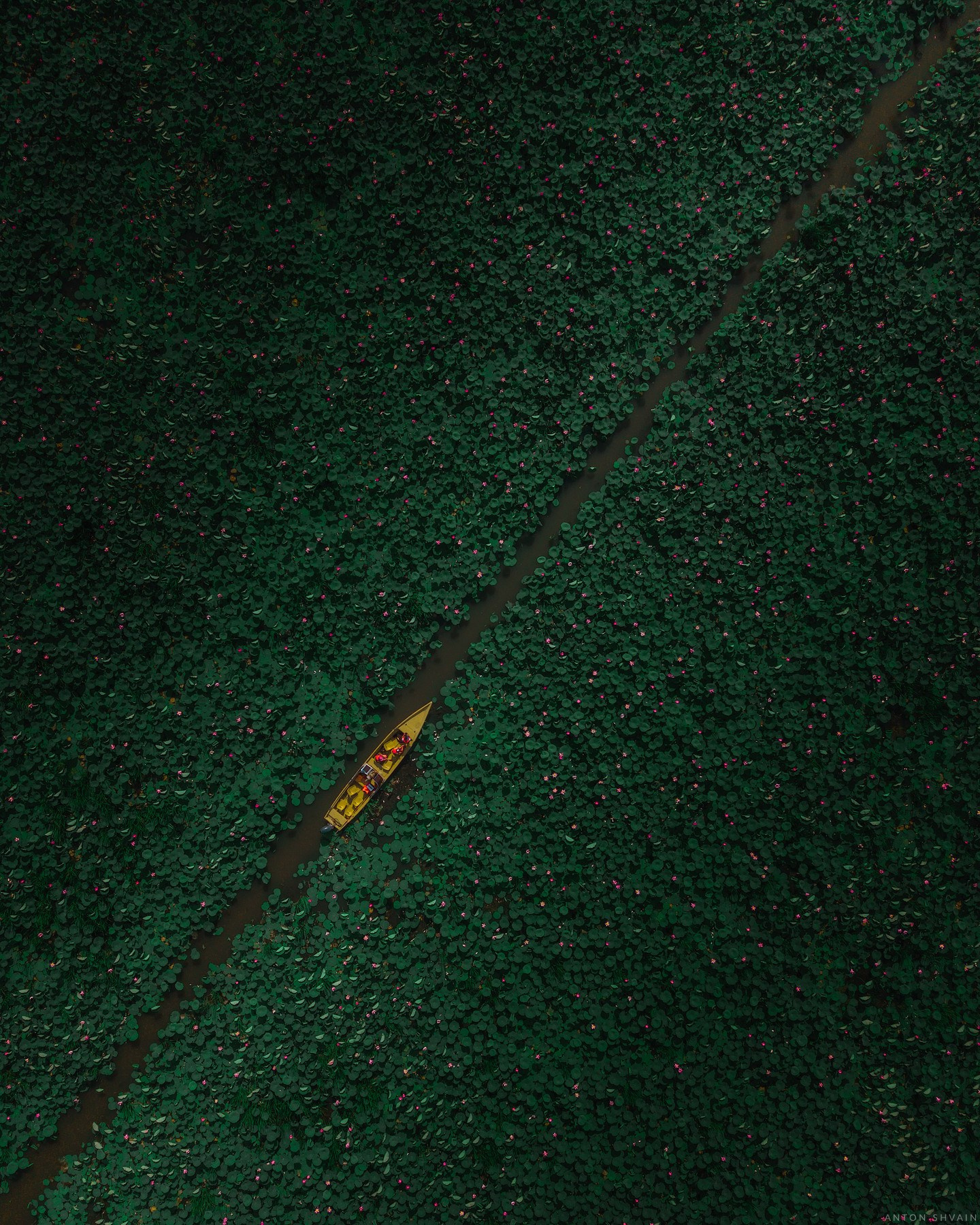 Антон Шваин | Пейзаж, ночной пейзаж, арт и аэросъёмка
