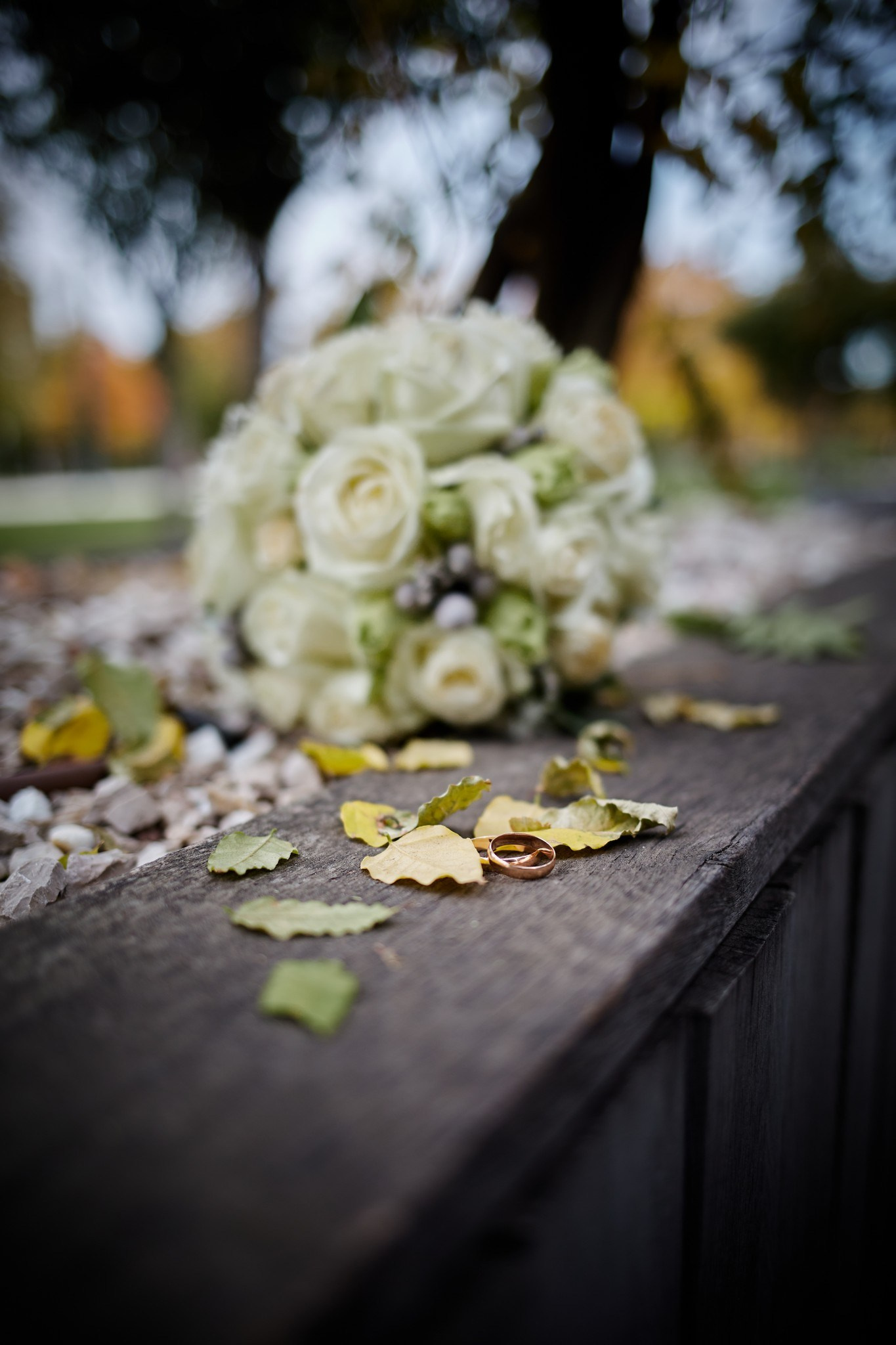 ФОТО — ВИДЕО Юрий Безрукавый