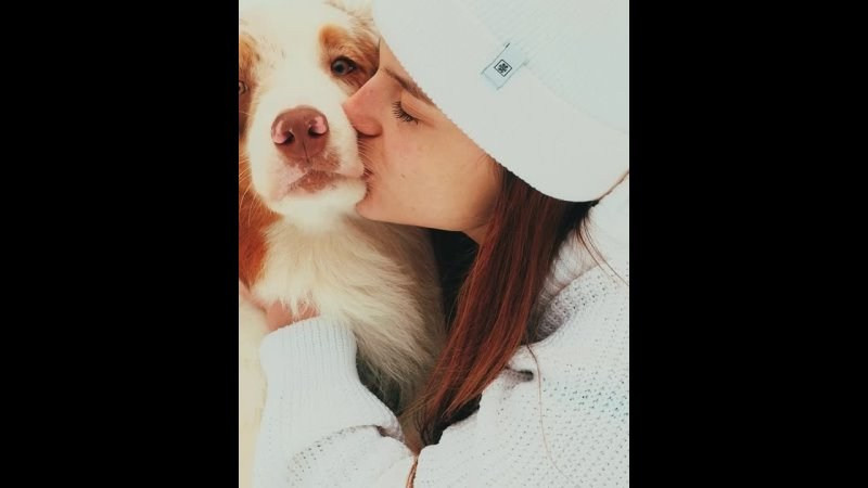 Фотограф животных в Москве и Московской области. Профессиональный фотограф в Москве — Максим Дьяконов