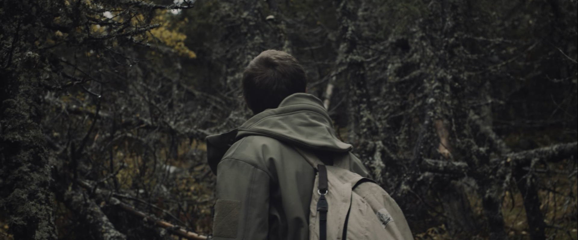 Профессиональный фотограф в Москве — Максим Дьяконов