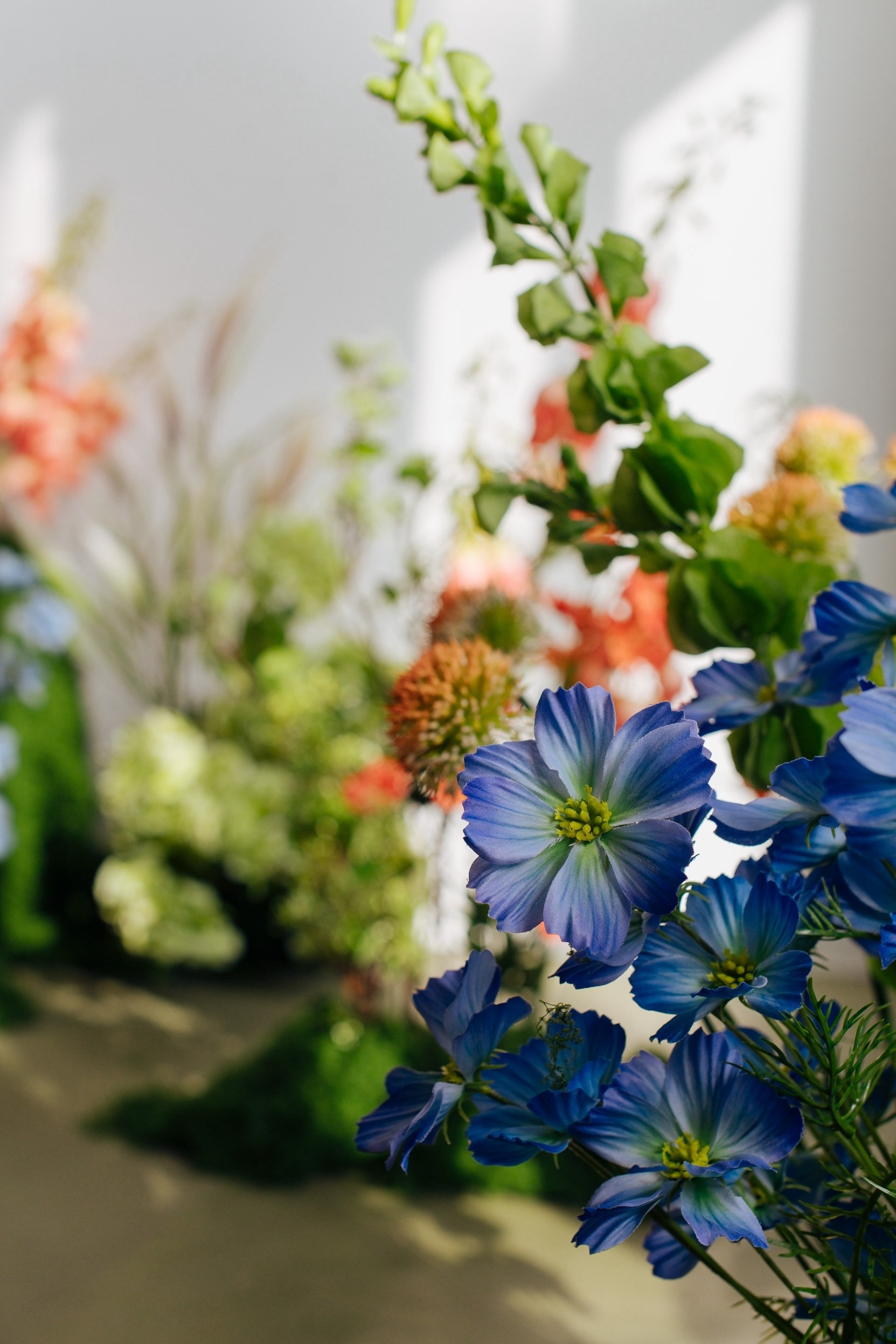 Студийная съёмка. Ваш фотограф Светлана Мицукова