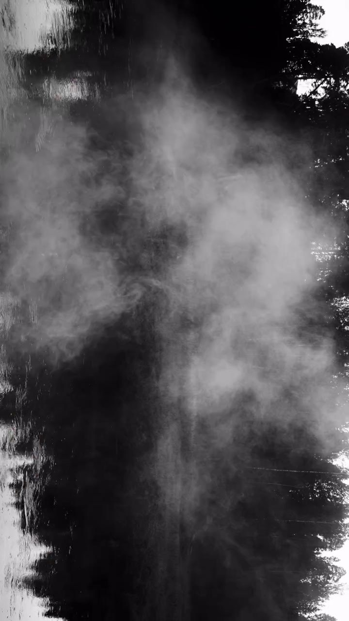 Концептуальный проект «ПЛЮЩ»