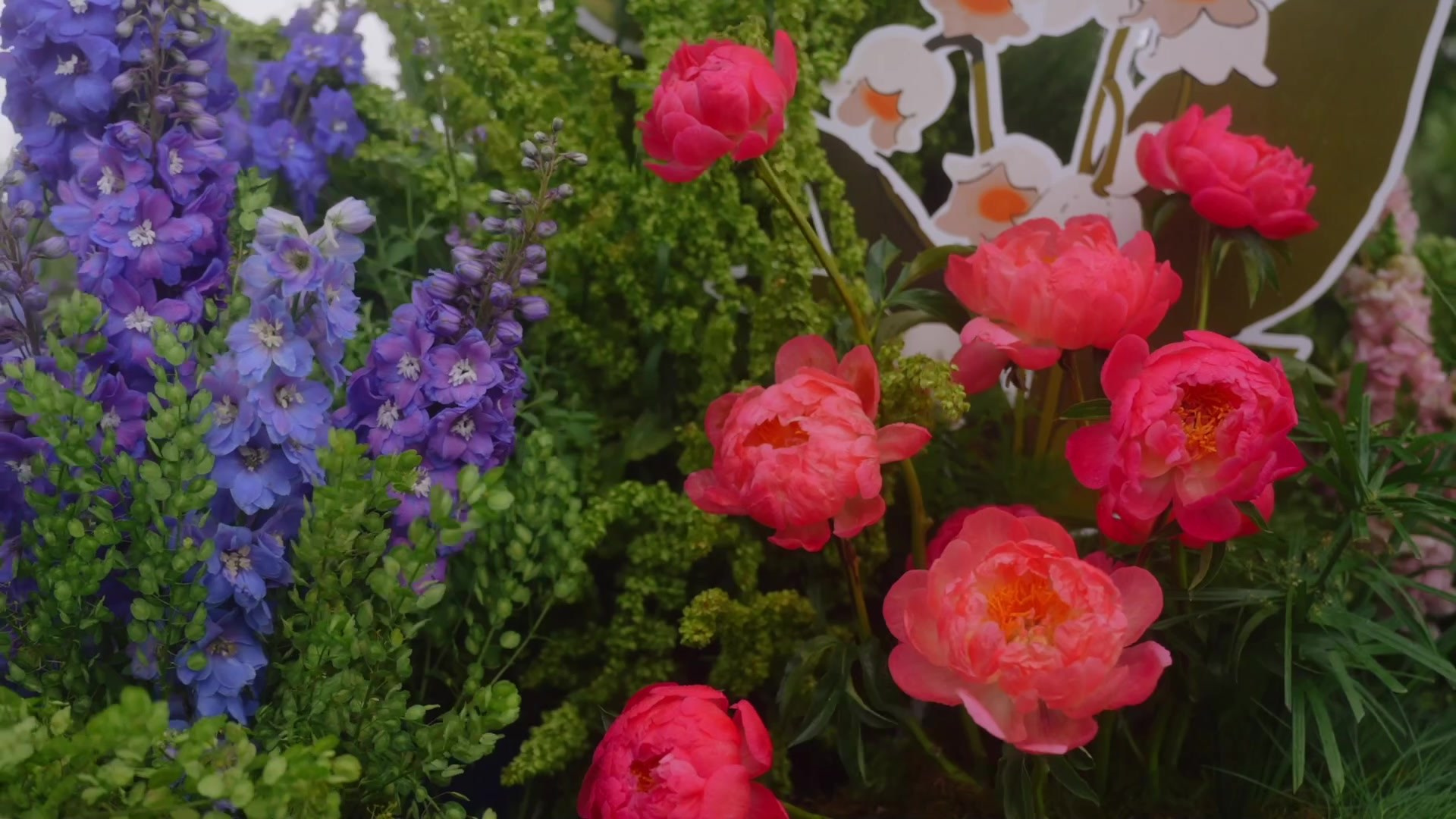 Кирилл и Даша. Катя и Ксюша Ивановы, видеографы Сочи Краснодар