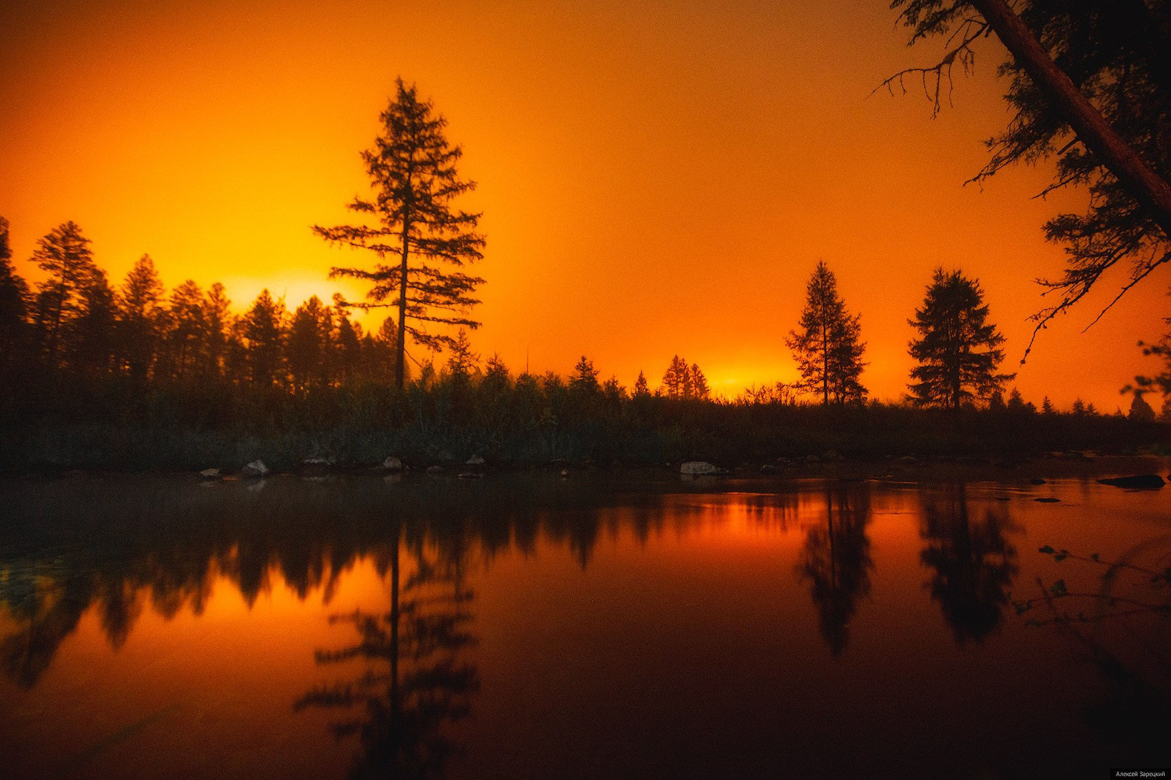 Фотограф Алексей Зарецкий
