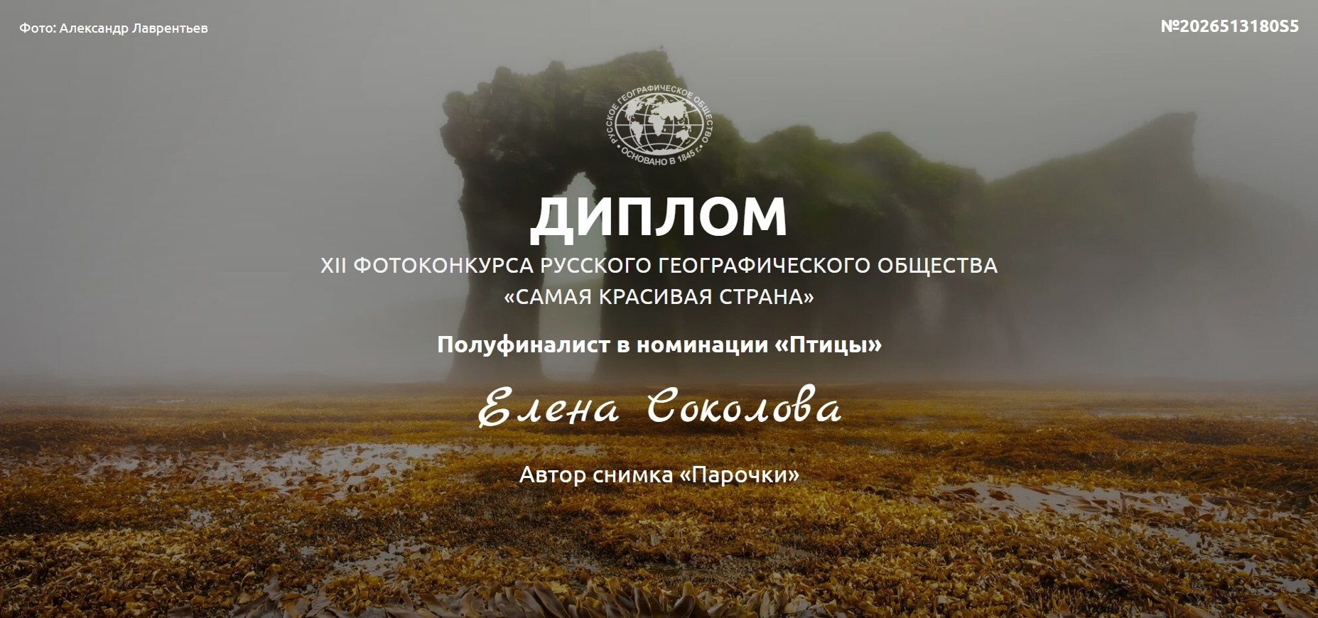 Ряд наград в международном конкурсе черно-белой фотографии (Франция). Фотографии Лены Соколовой