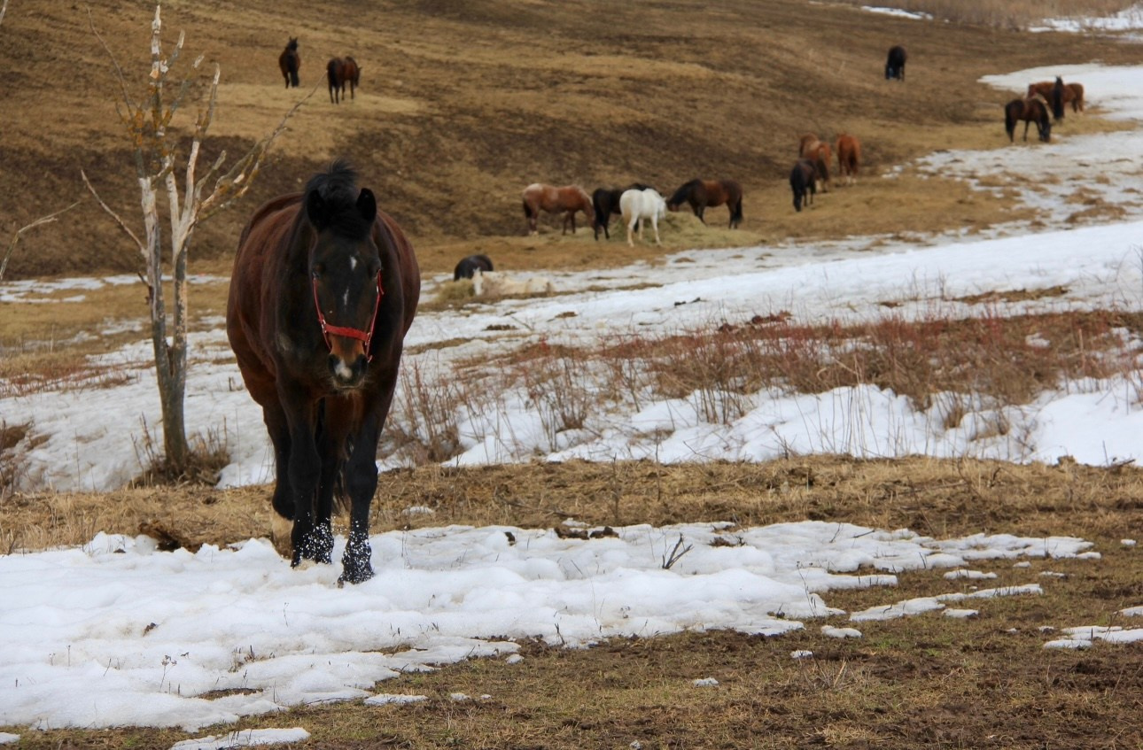ПЕЙЗАЖИ. Профессиональный фотограф в Москве  Елена Фатьянова