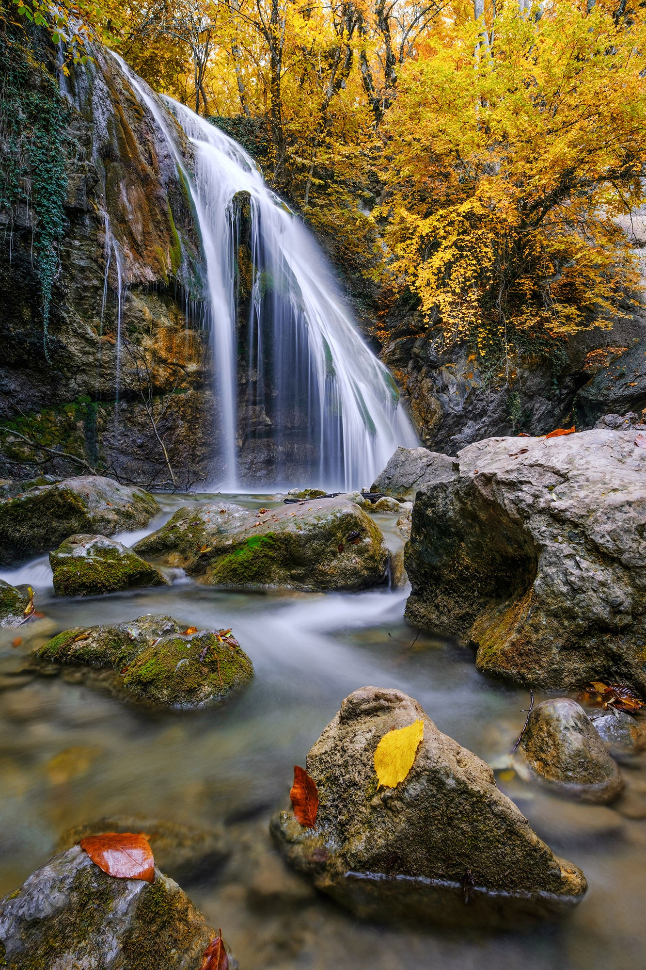 Фотограф в Геленджике Владимир Сковородников