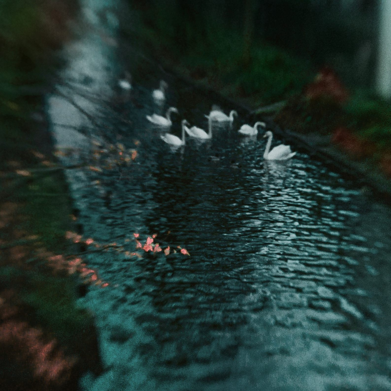 BRUGGE. Eduard Kopysov — International visual artist