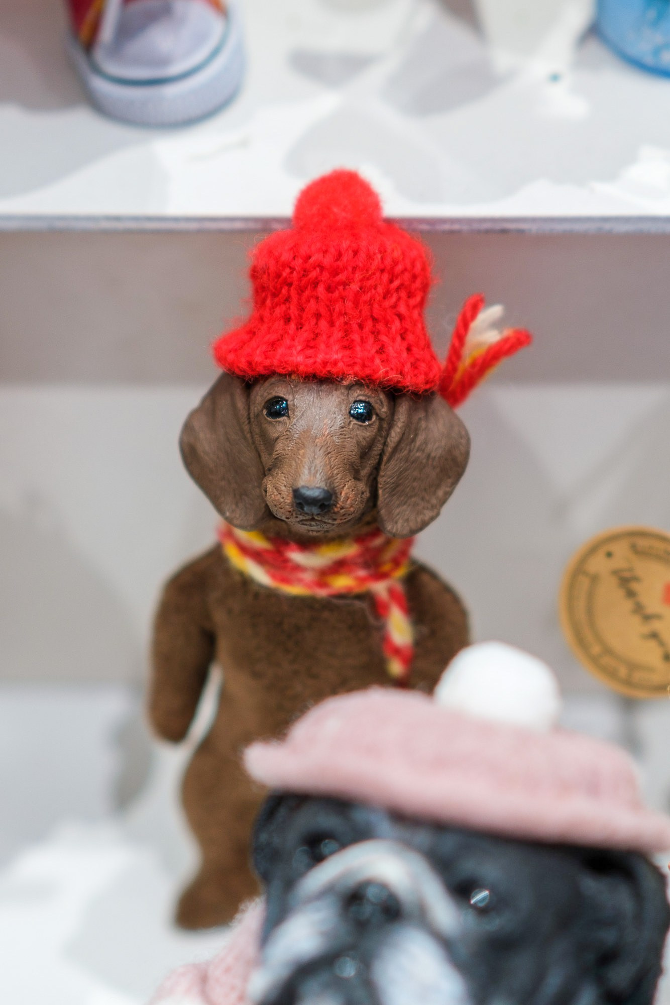 САКВОЯЖ 2025 (Весна). Фёдор Карпов — профессиональный фотограф, работаю в Москве и области