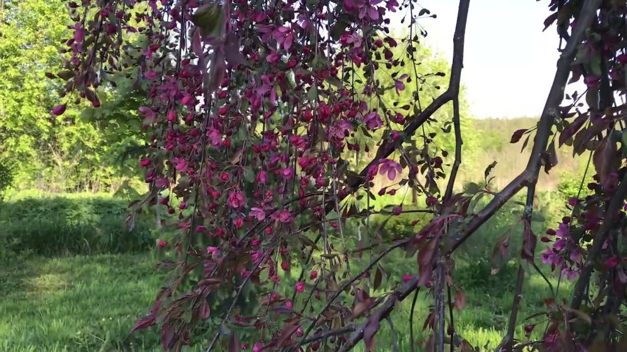 Территория экофермы Марии Гиппенрейтер. Эко отель Подмосковье. Эко отдых в Подмосковье в эко-отеле Марии Гиппенрейтер