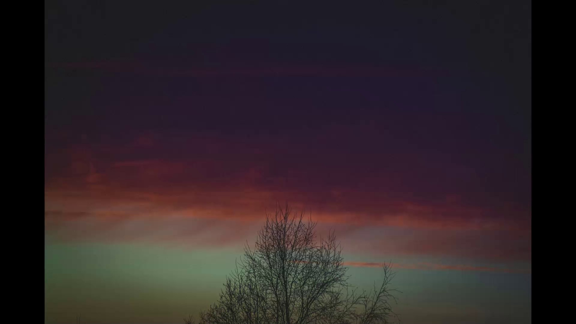 Liberation. Den Mirov — Photographer, Musician