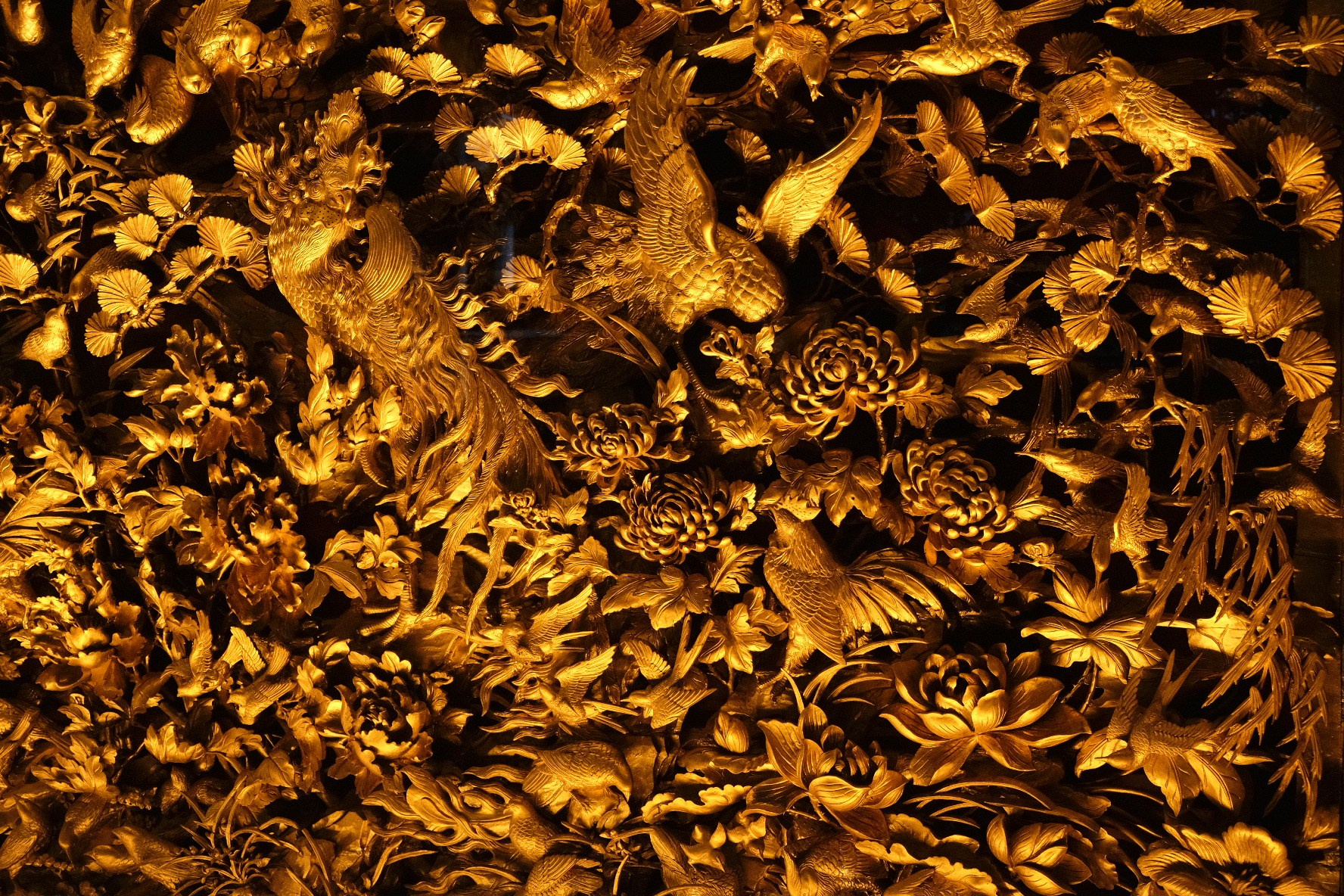 China. Catch photos and make them magical  — Krisitna Popova